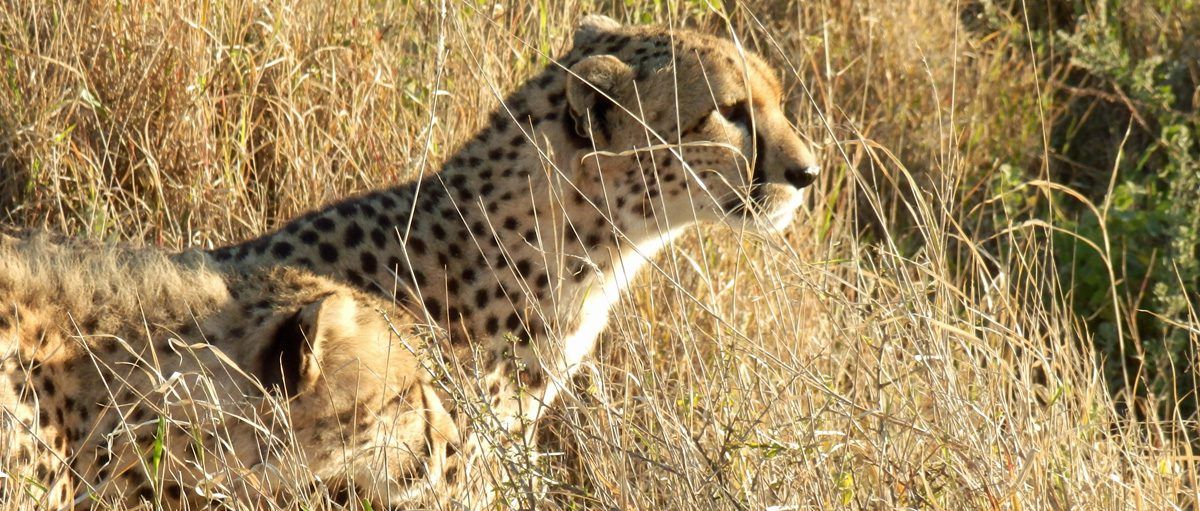 Loliondo, Serengeti, Tanzania