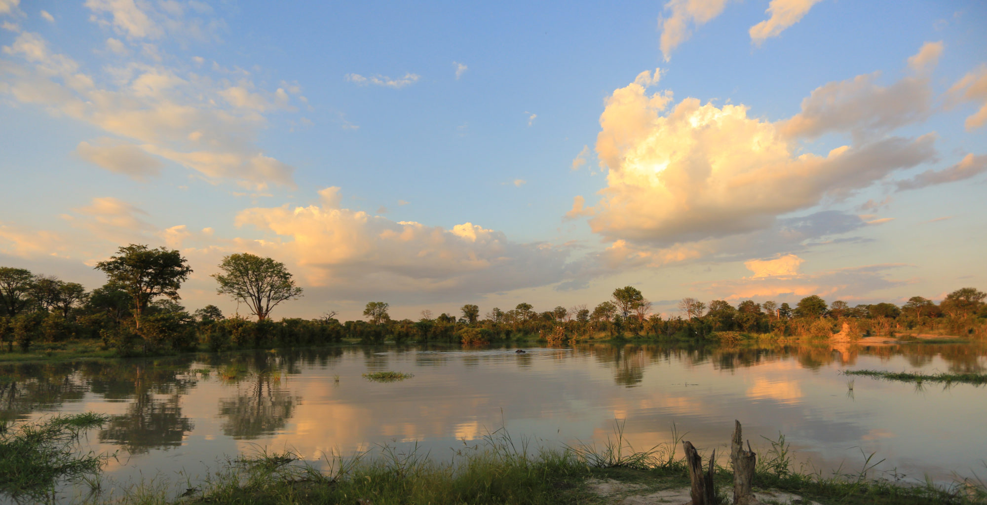 Botswana-Okavango-Delta-View