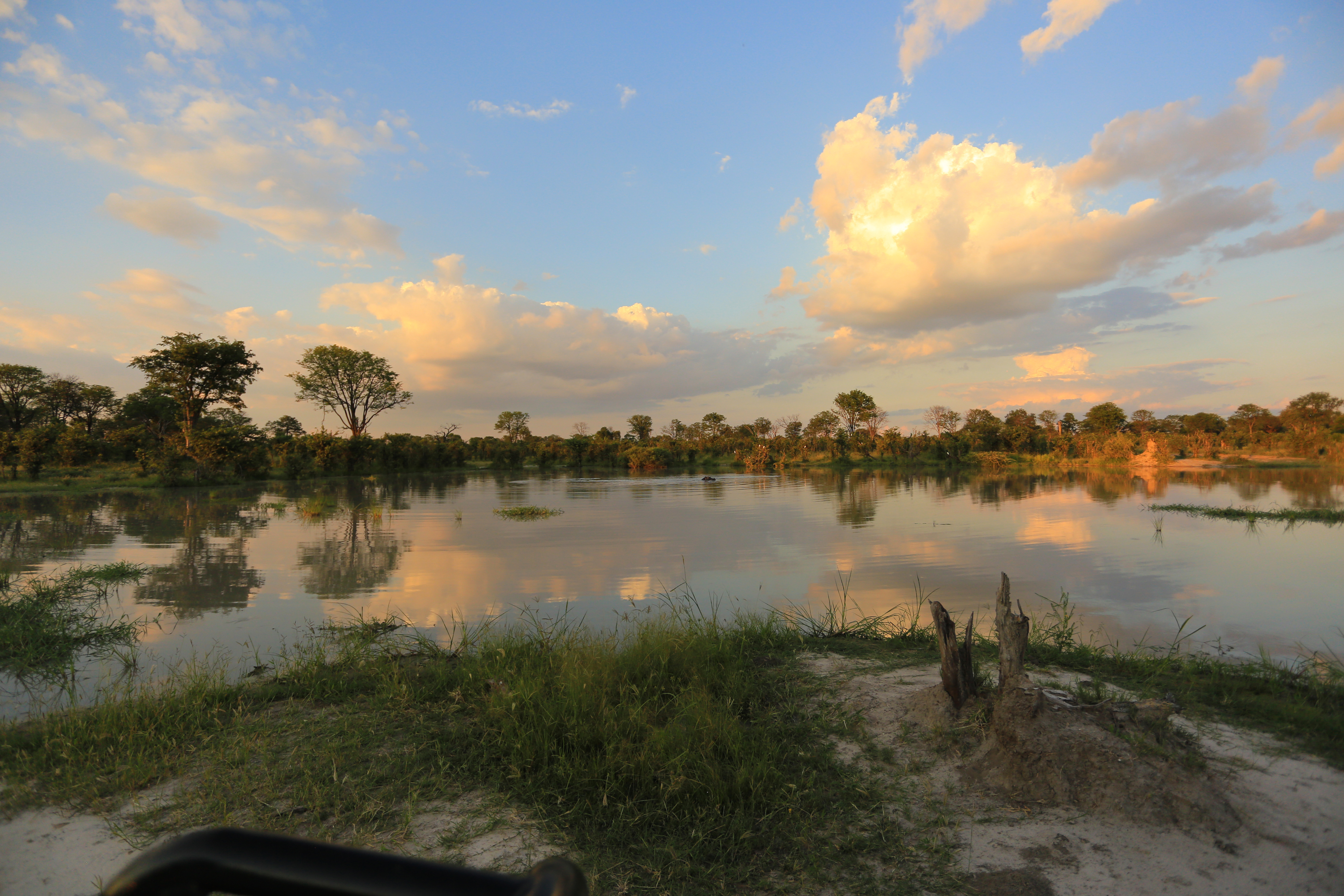 Okavango Delta Botswana Reflection