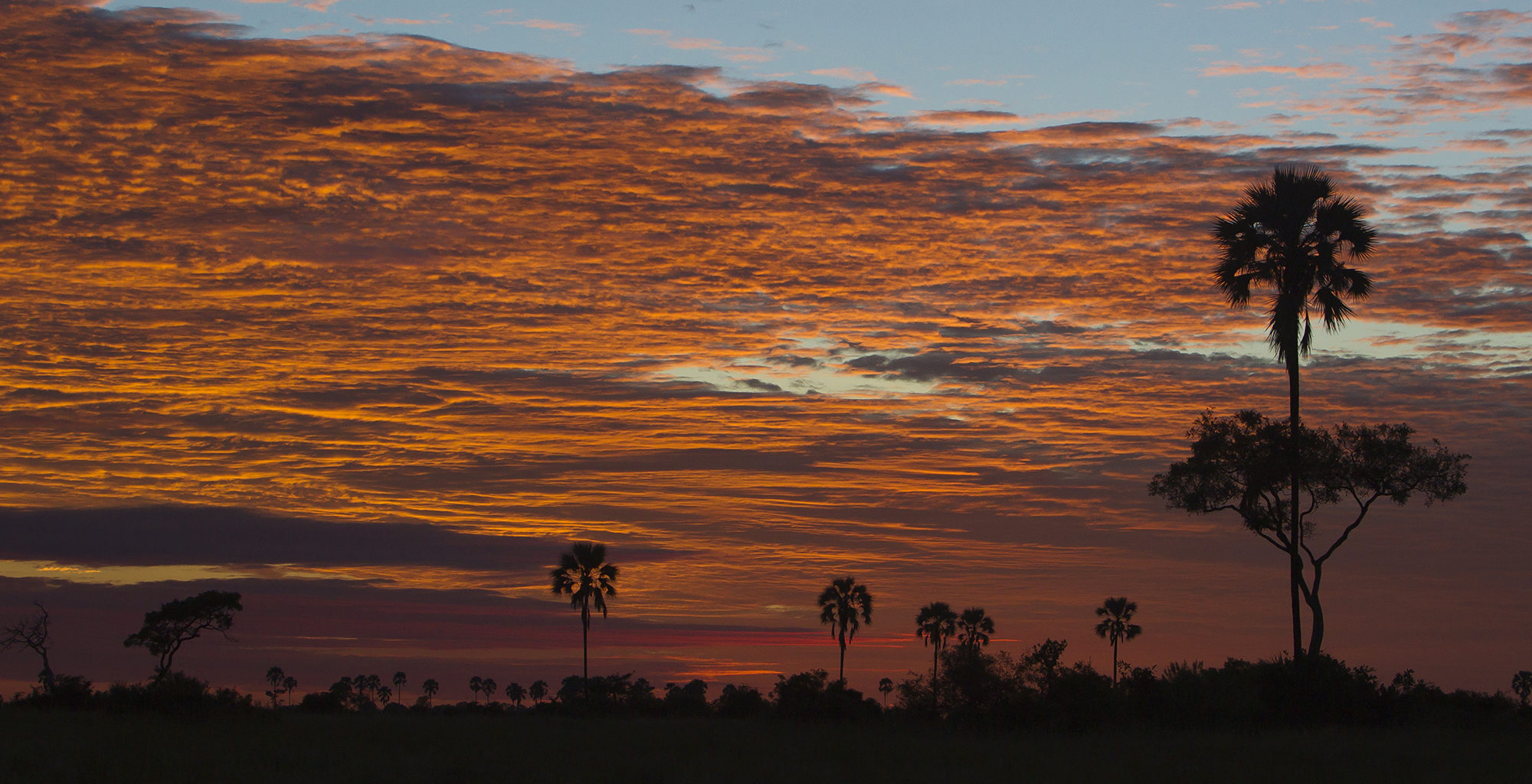 Botswana-Selinda-Concessions-Sunset