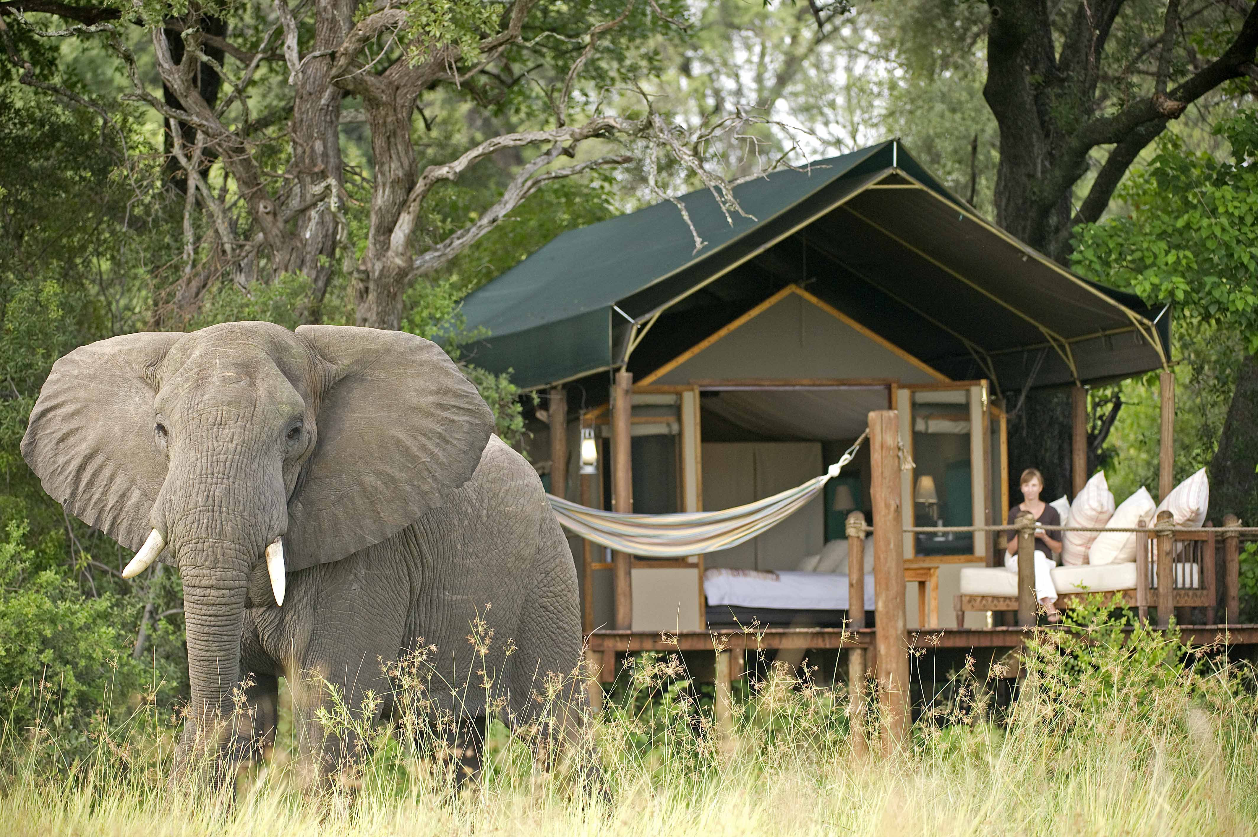 mobile safari botswana
