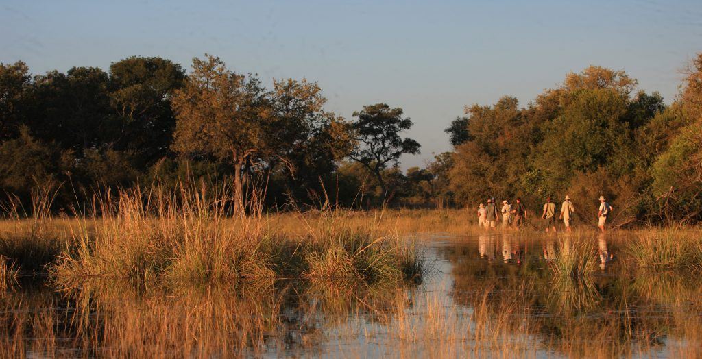 Botswana-Selinda-Canoe-Trail-Walk