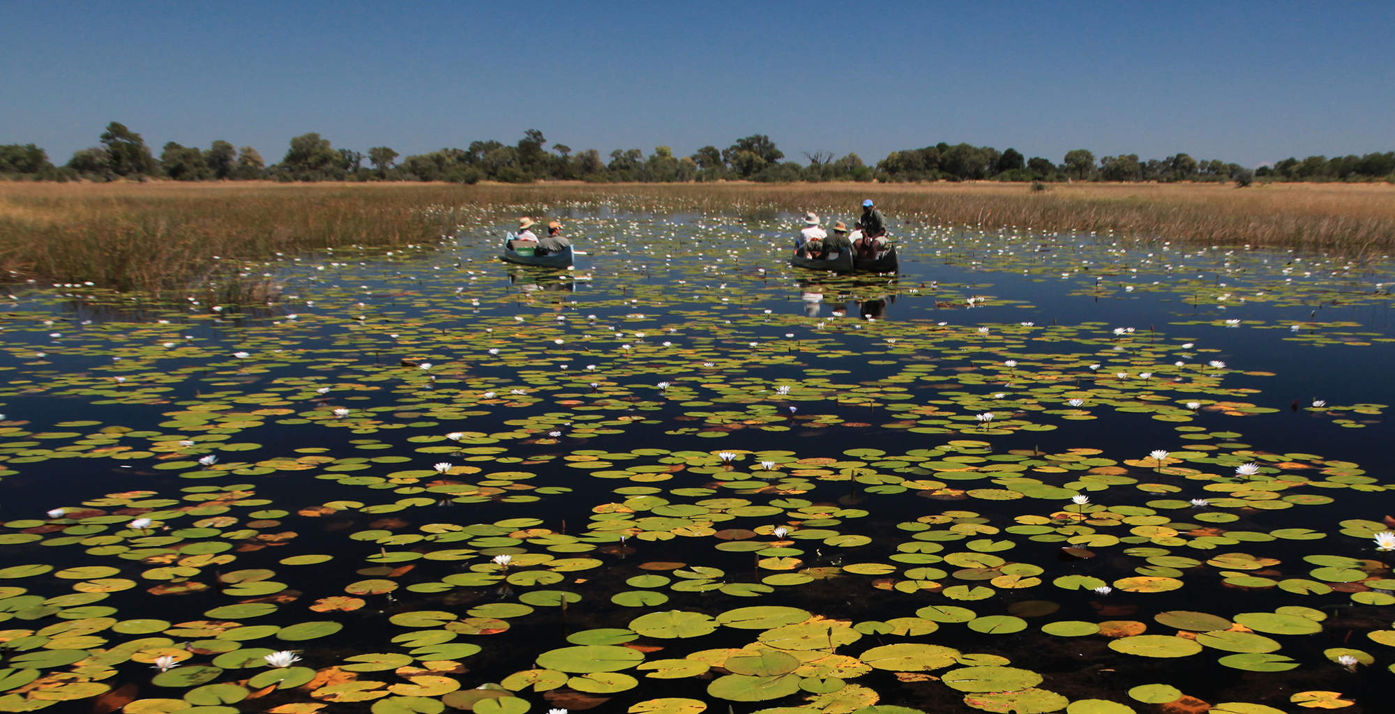 Botswana-Selinda-Canoe-Trail-Row