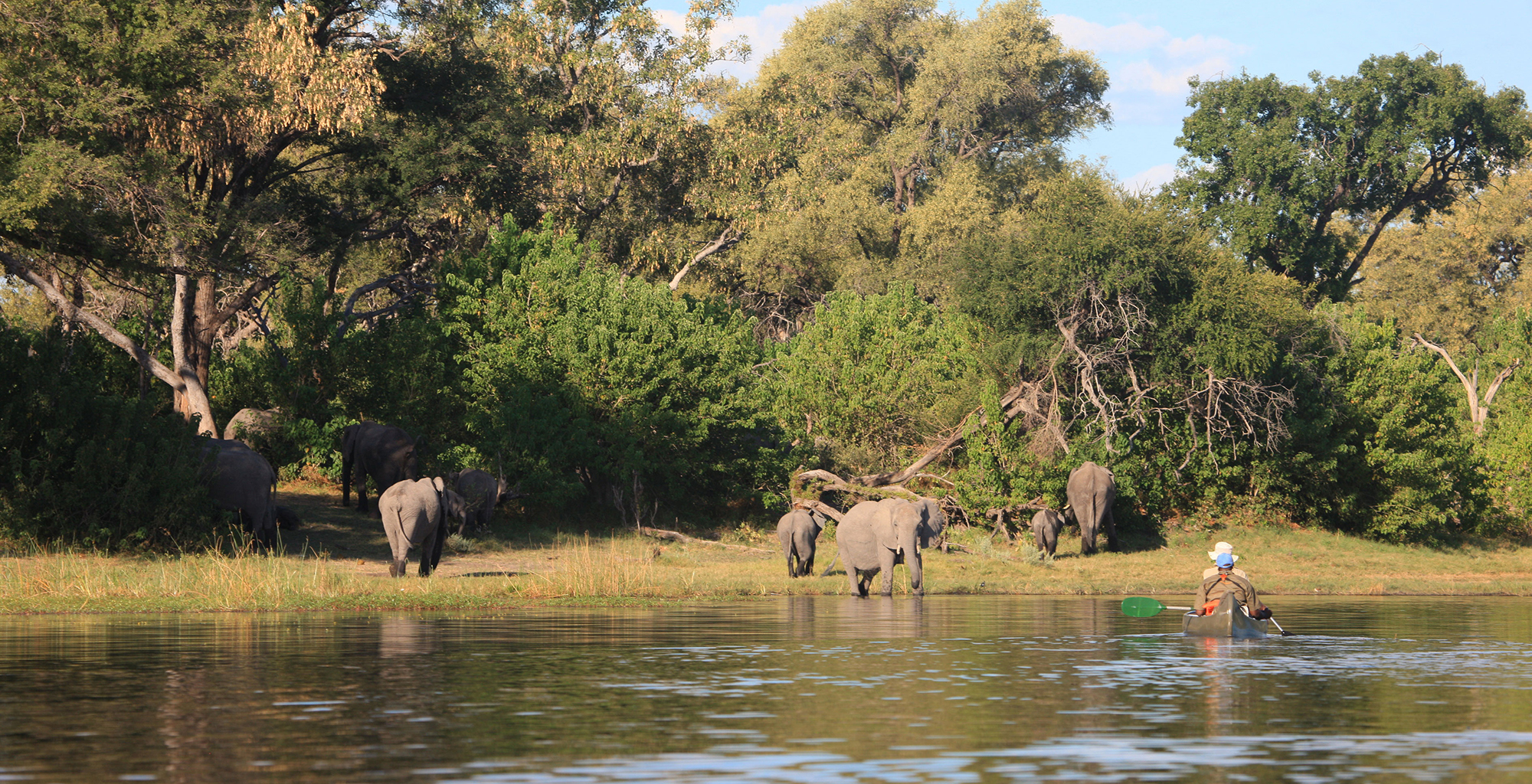 Botswana-Selinda-Canoe-Trail-Elephants