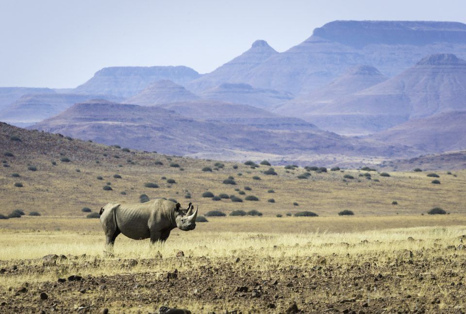 Safari In Namibia - Journeys By Design: Luxury African Safaris