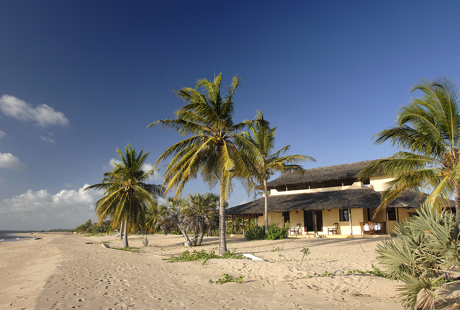 Kizingoni-Villas-Exterior-Palm-Trees