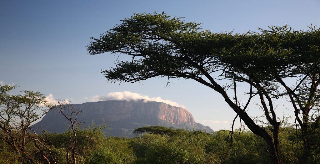 Kenya-Samburu-National-Reserve-Hero