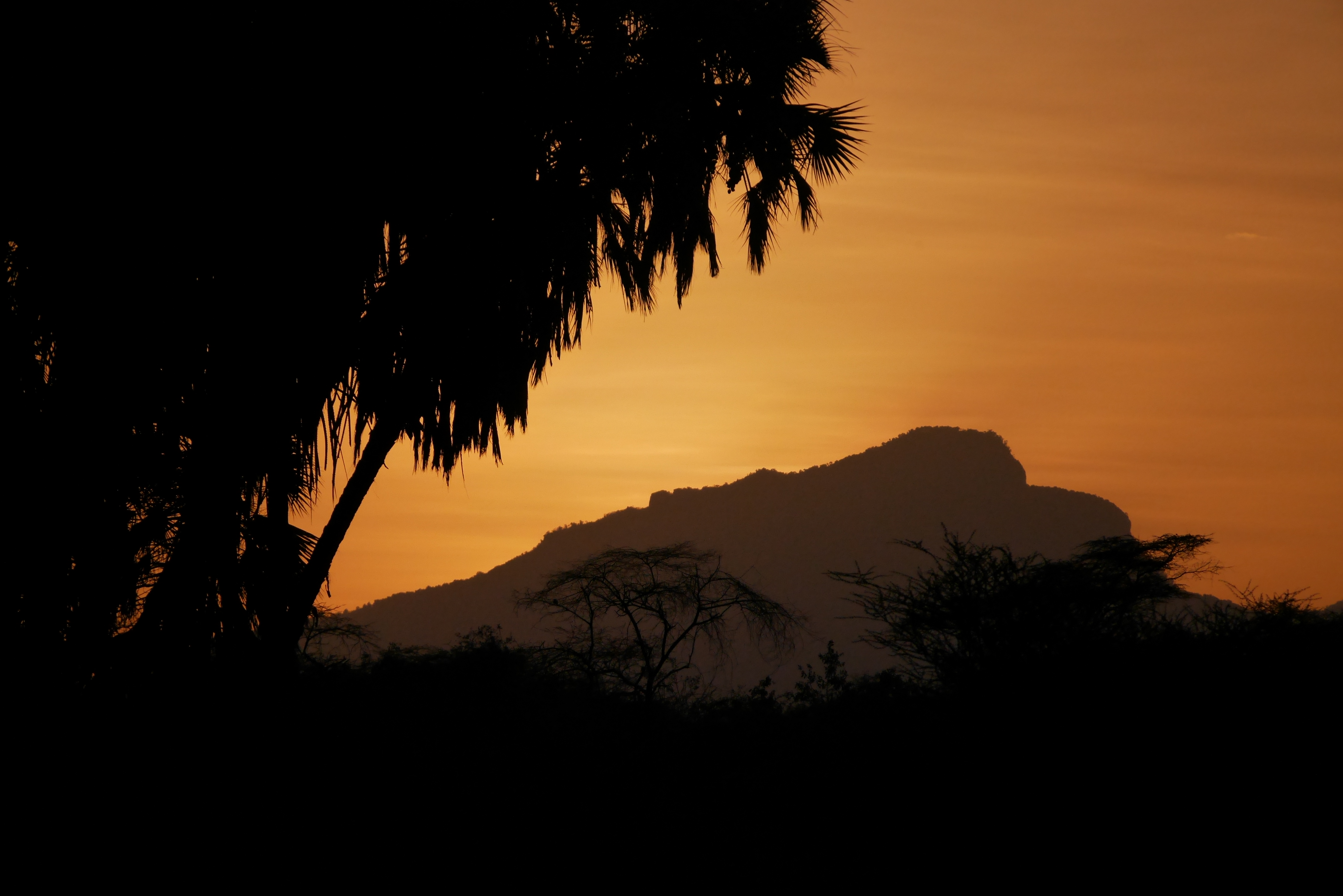 Sera Wildlife Conservancy Trust Kenya