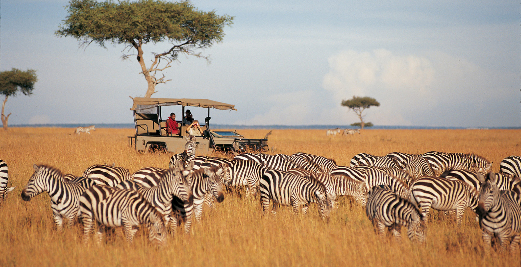 Samburu