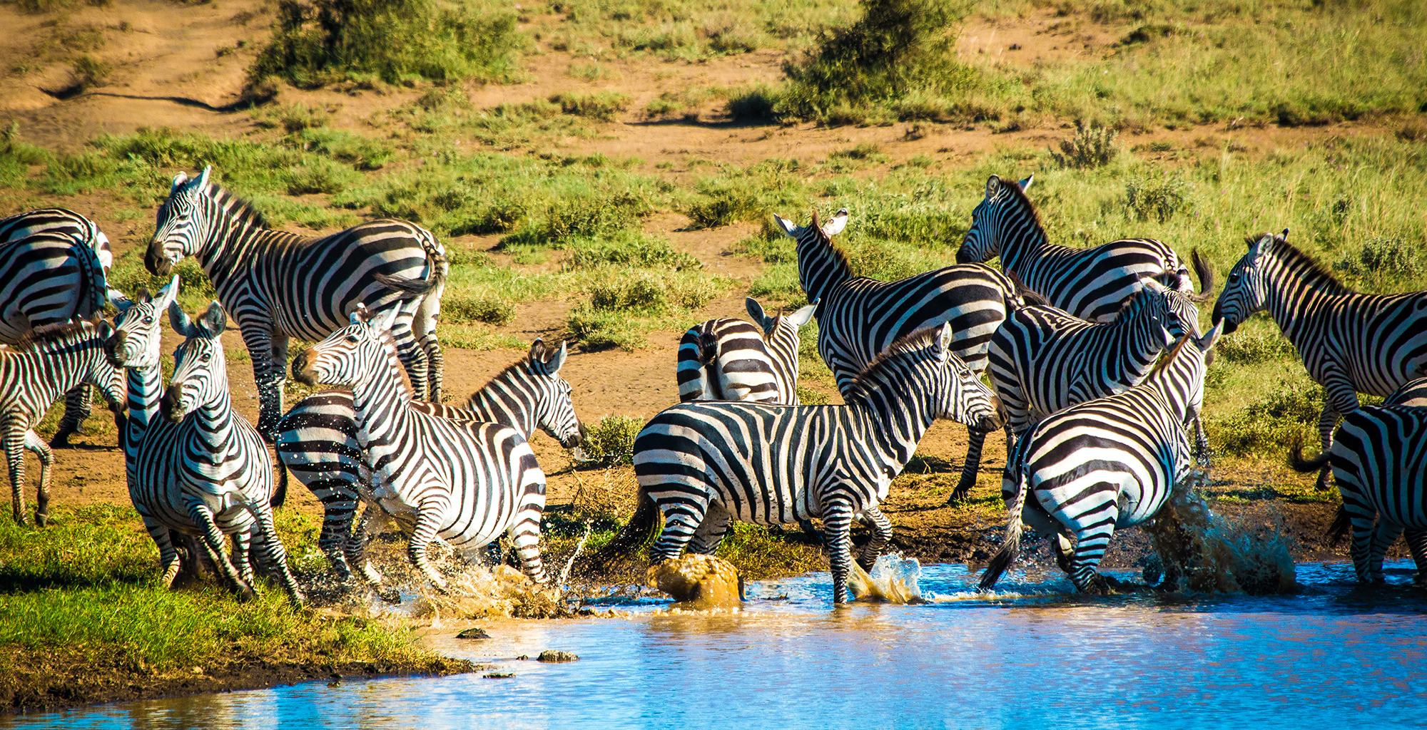 Kenya-Ol-Donyo-Zebra