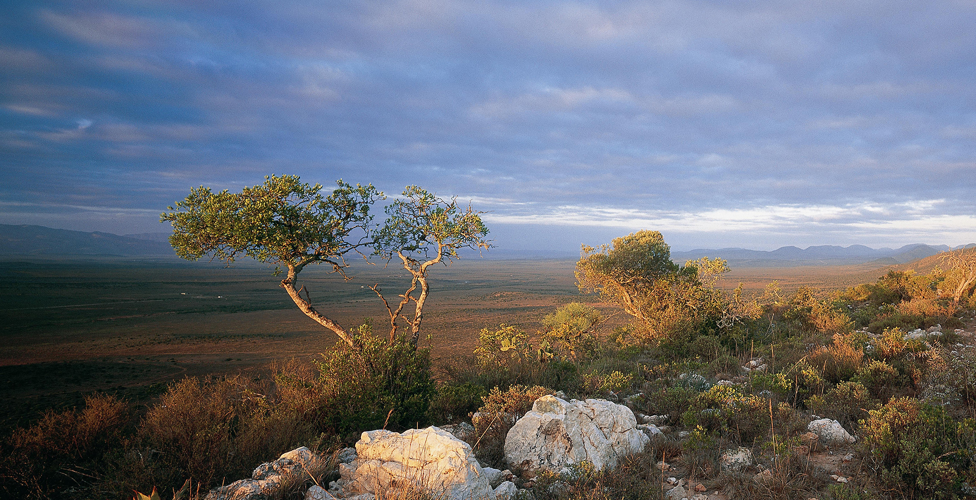 South-Africa-Landscape