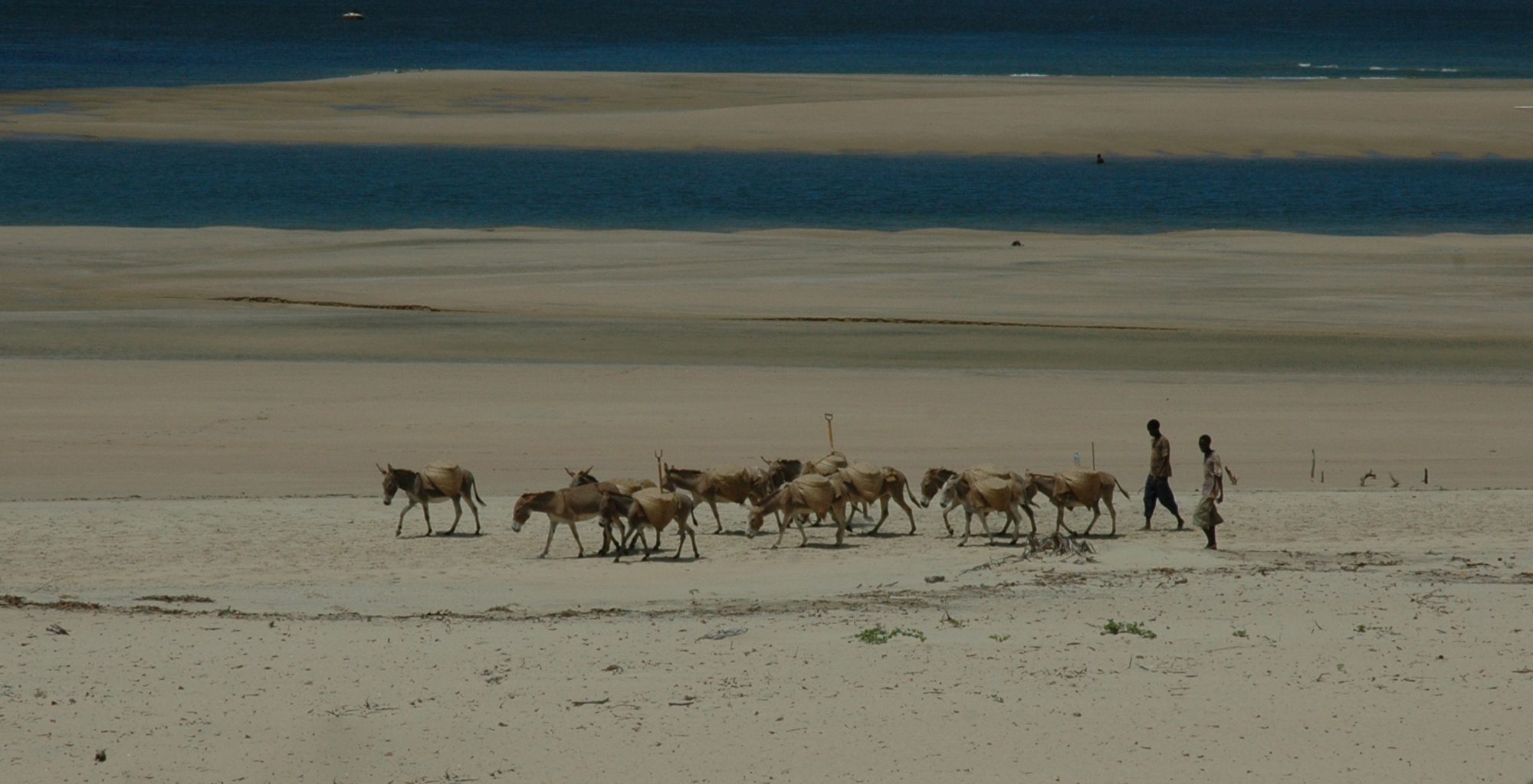 Kenya-The-Fort-Beach-Walk