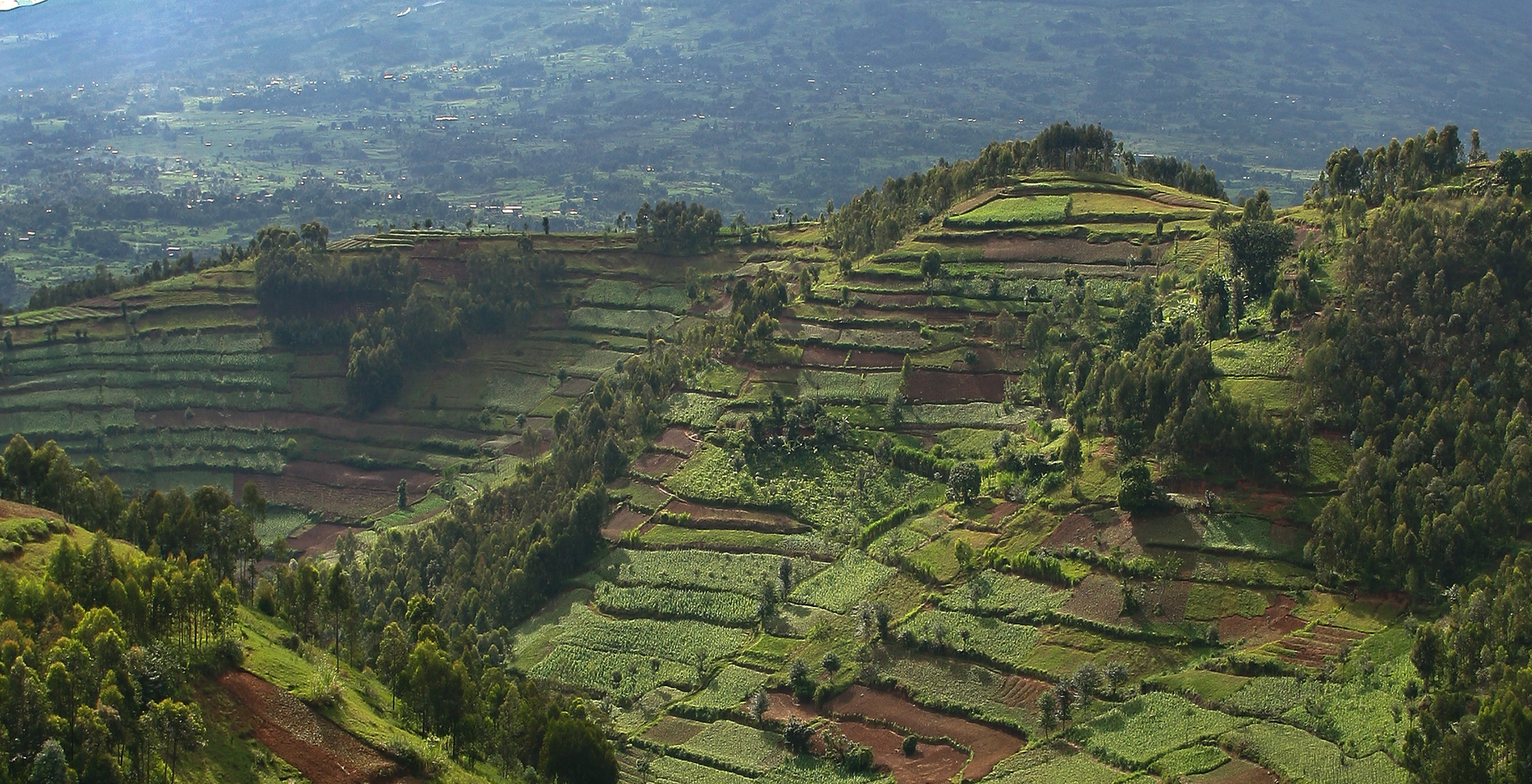 Rwanda-Landscape