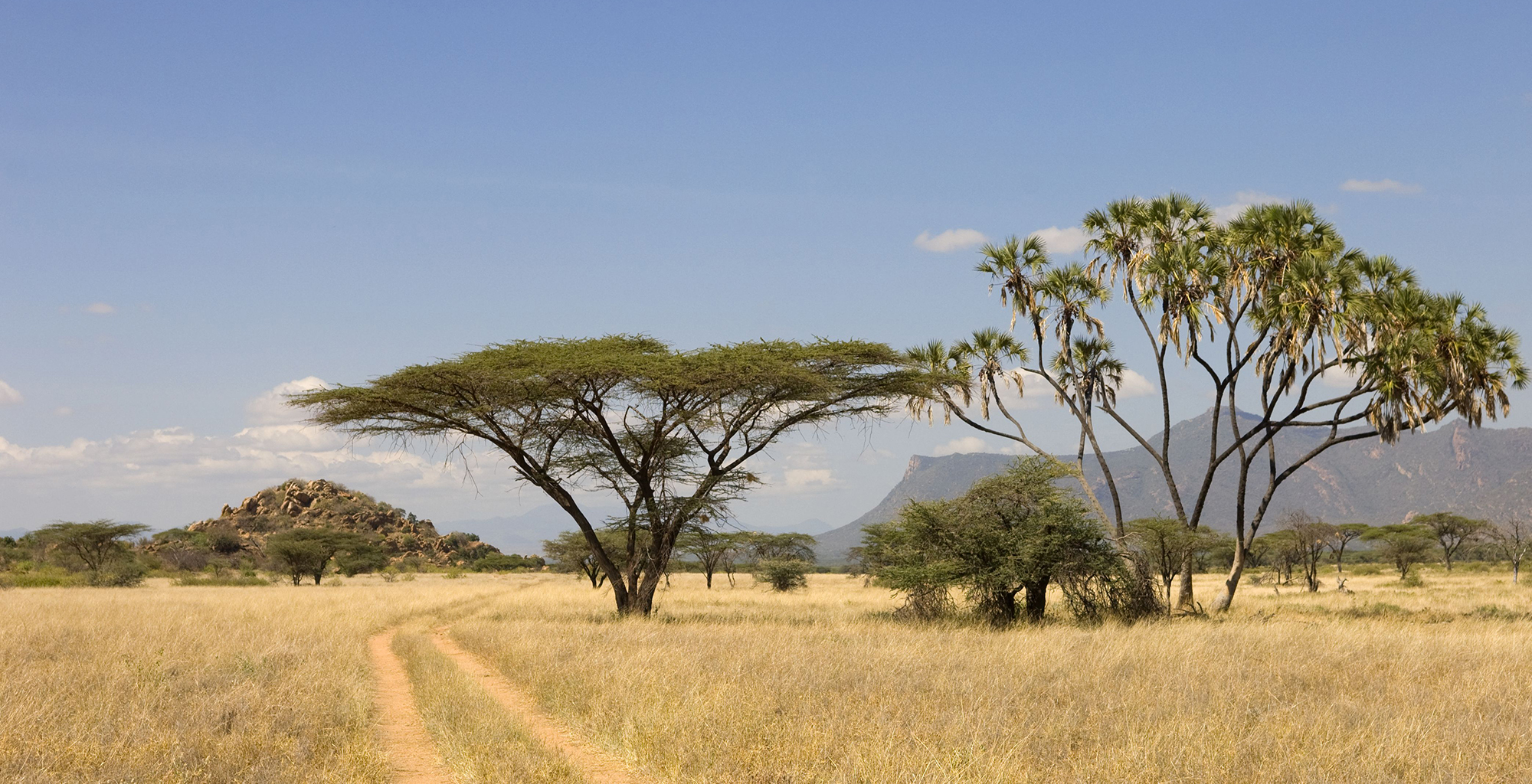 Kenya-Landscape