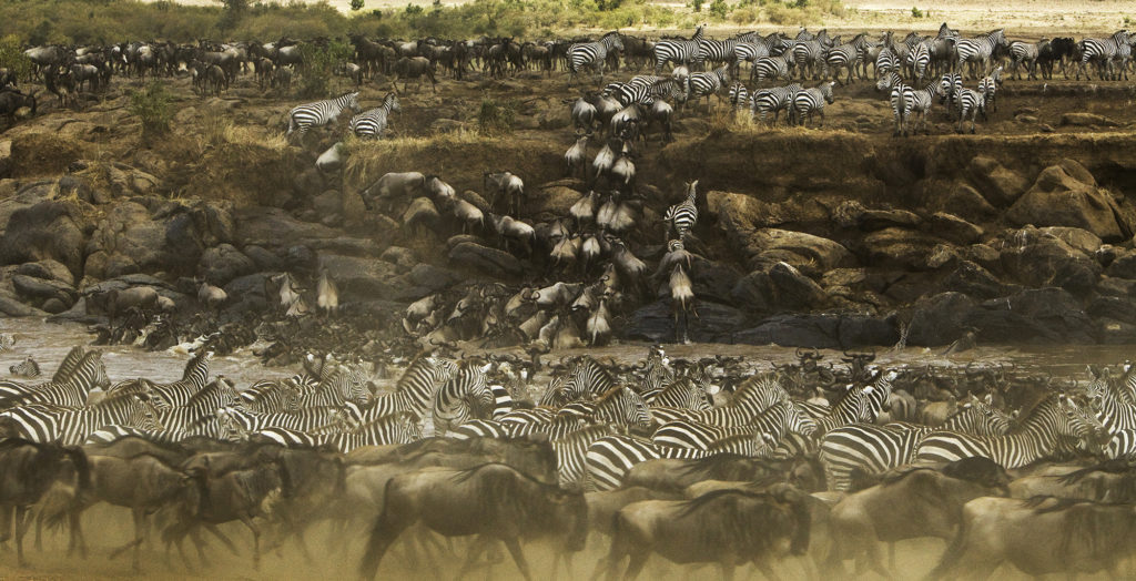 Kenya-Mara-Expeditions-Wildlife