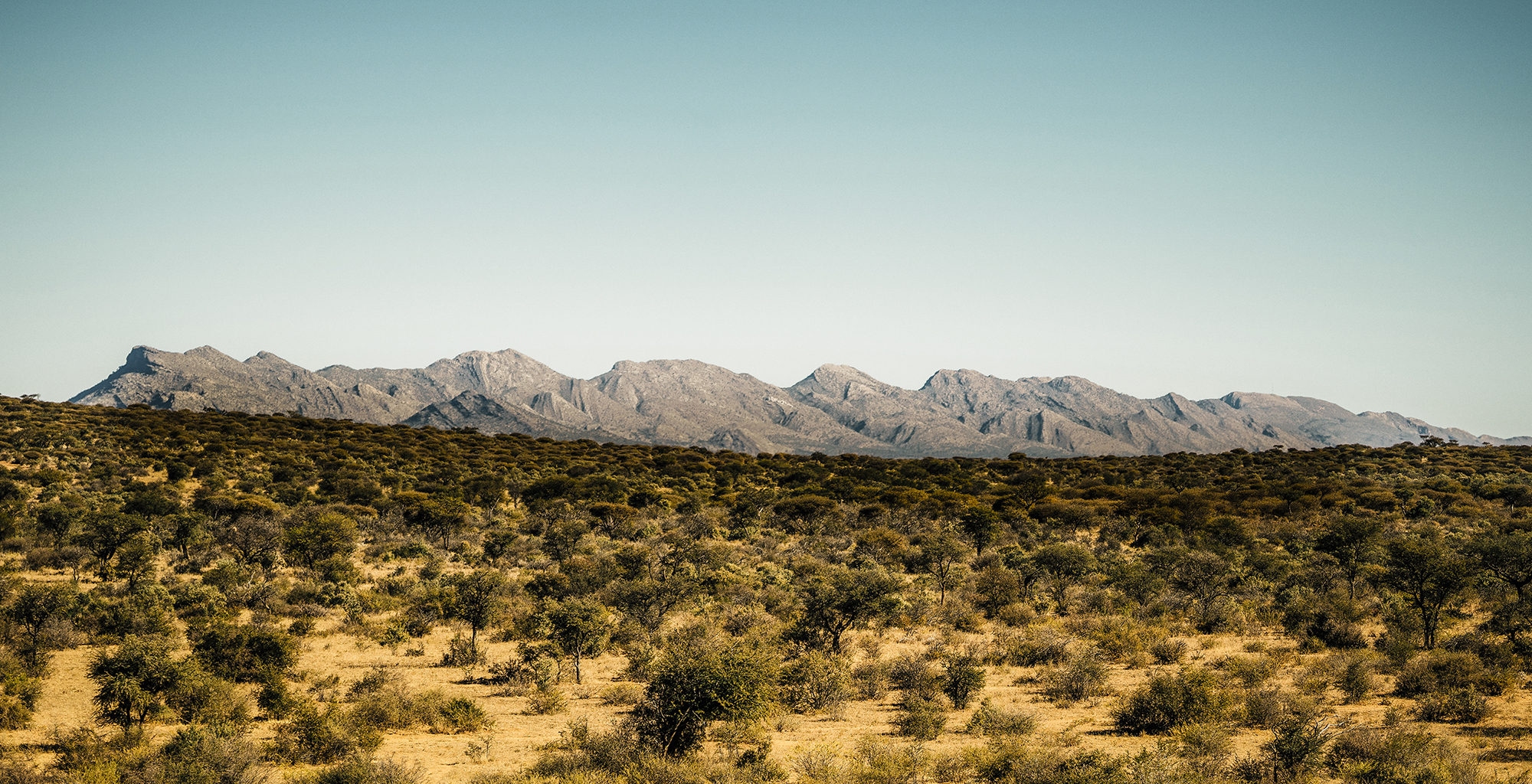 Namibia-Omaanda-Landscape