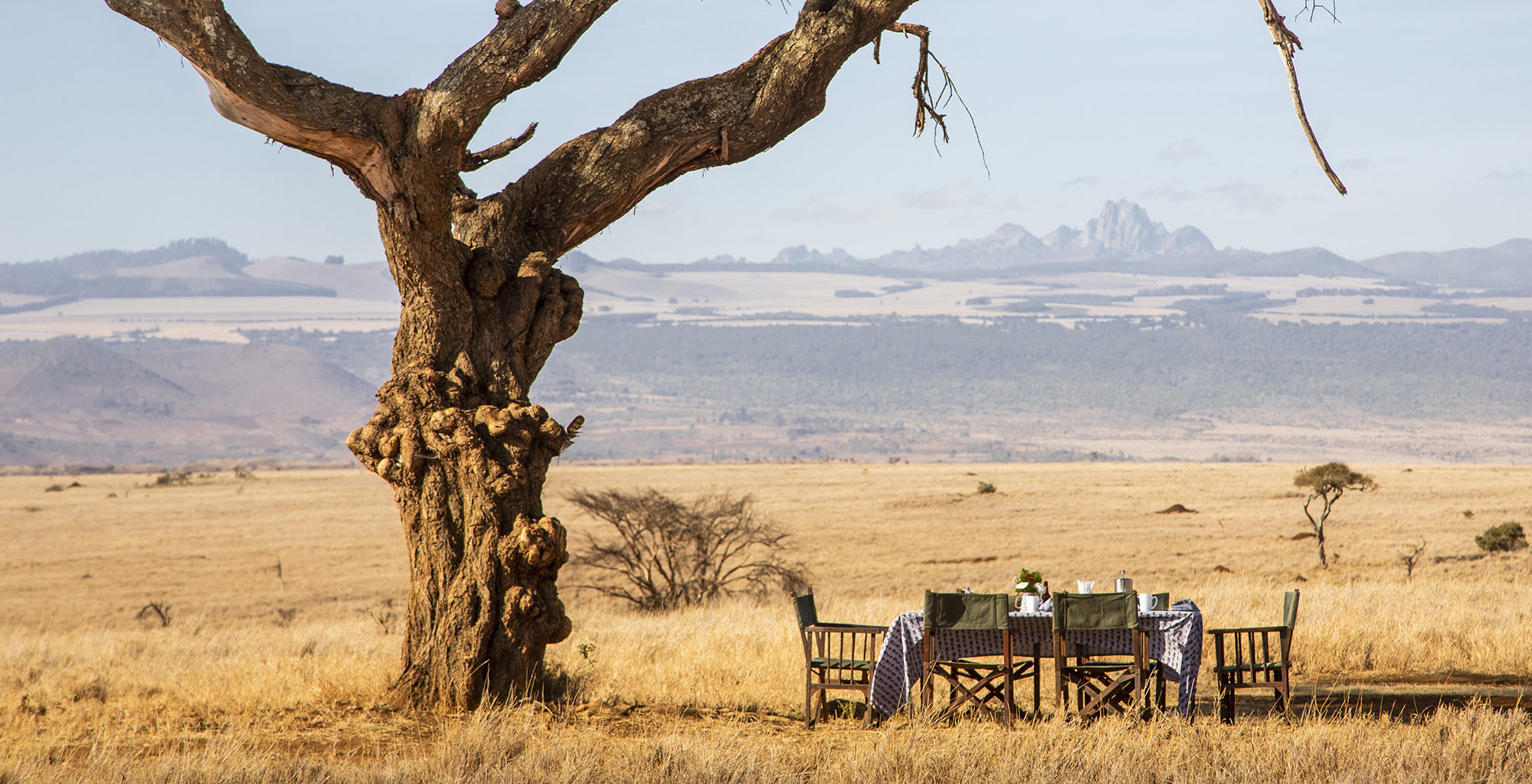 Kenya-Lewa-Wilderness-Bush-Dining