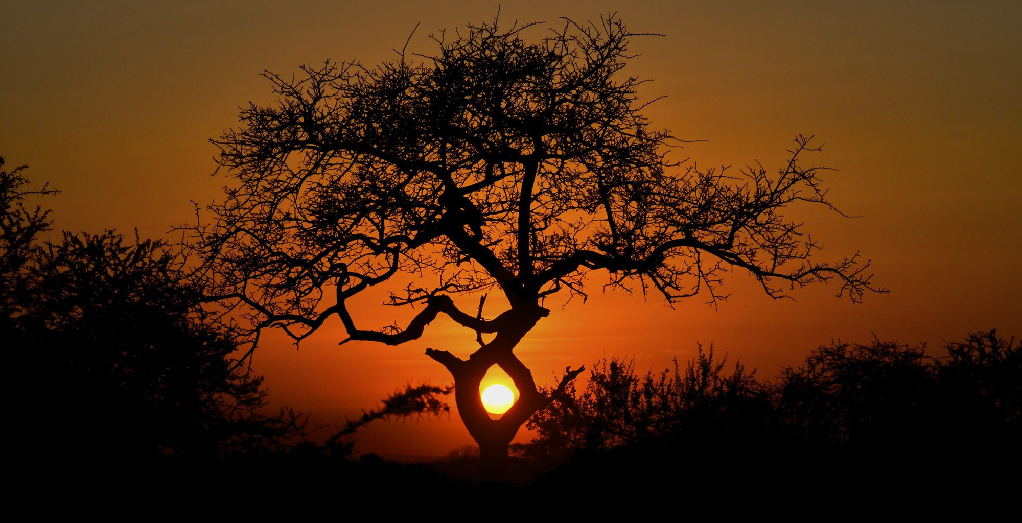 Kenya-Amboseli-National-Park-Sunset