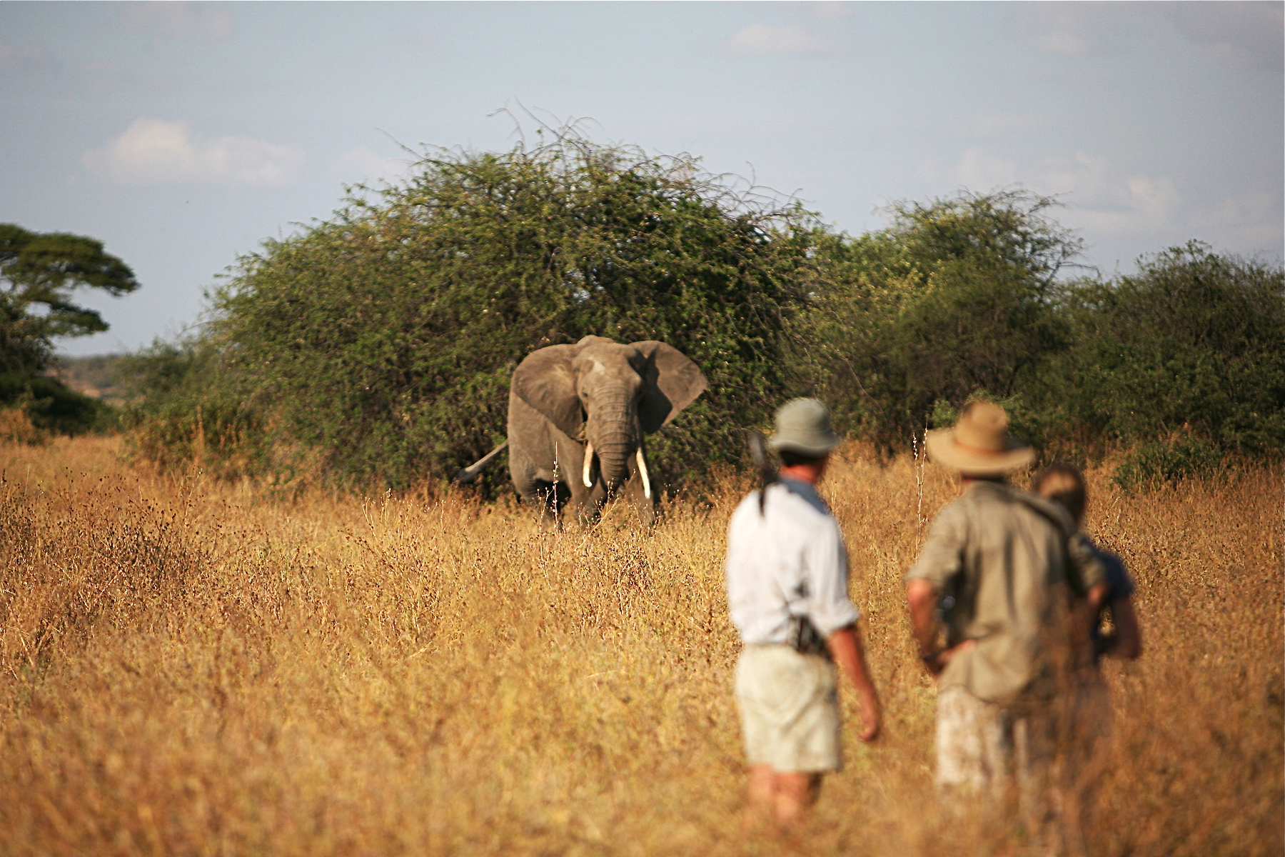 African Safari Destinations: Luxury Bespoke Travel