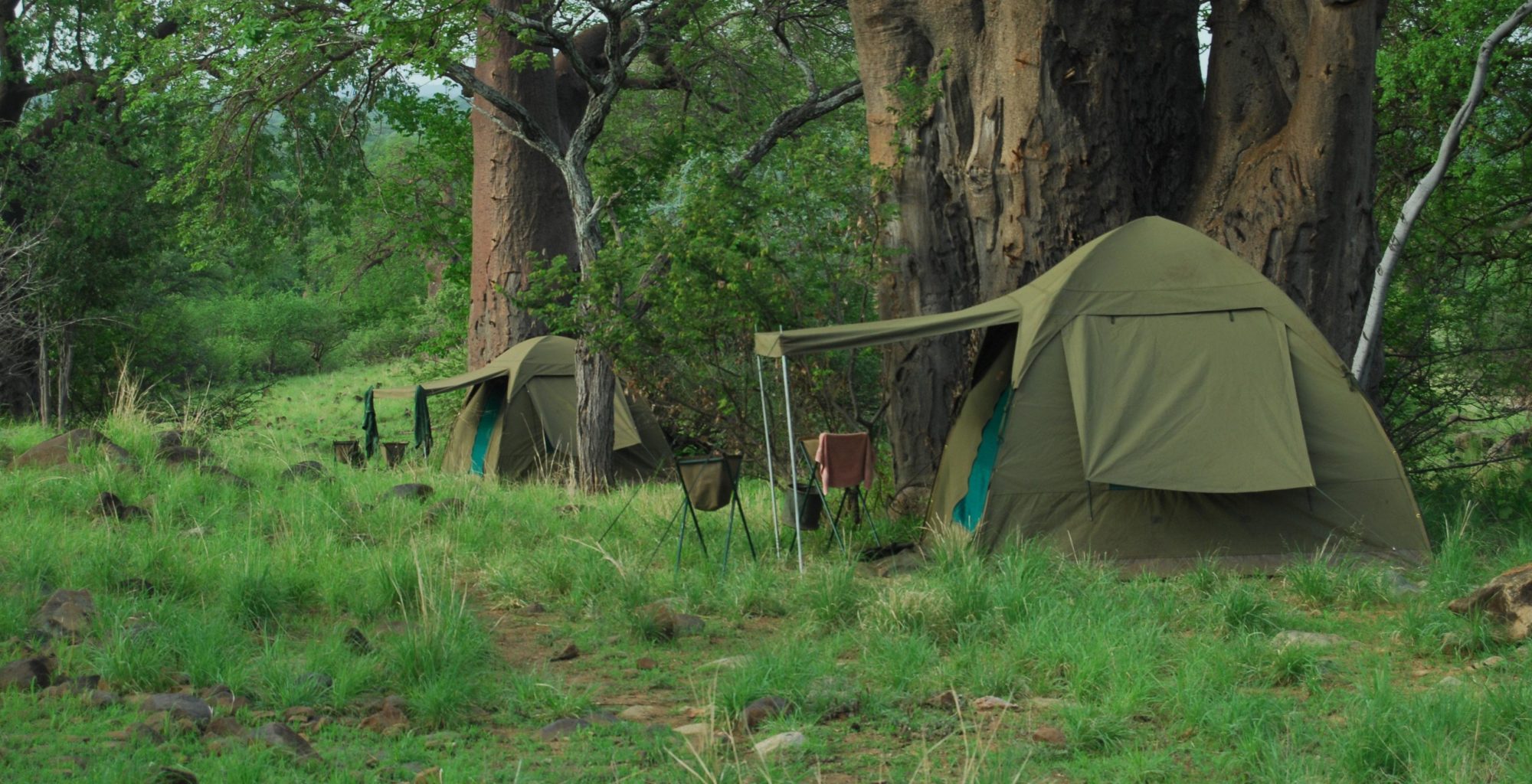 Tanzania-Dorobo-Mobile-Camp-Tents