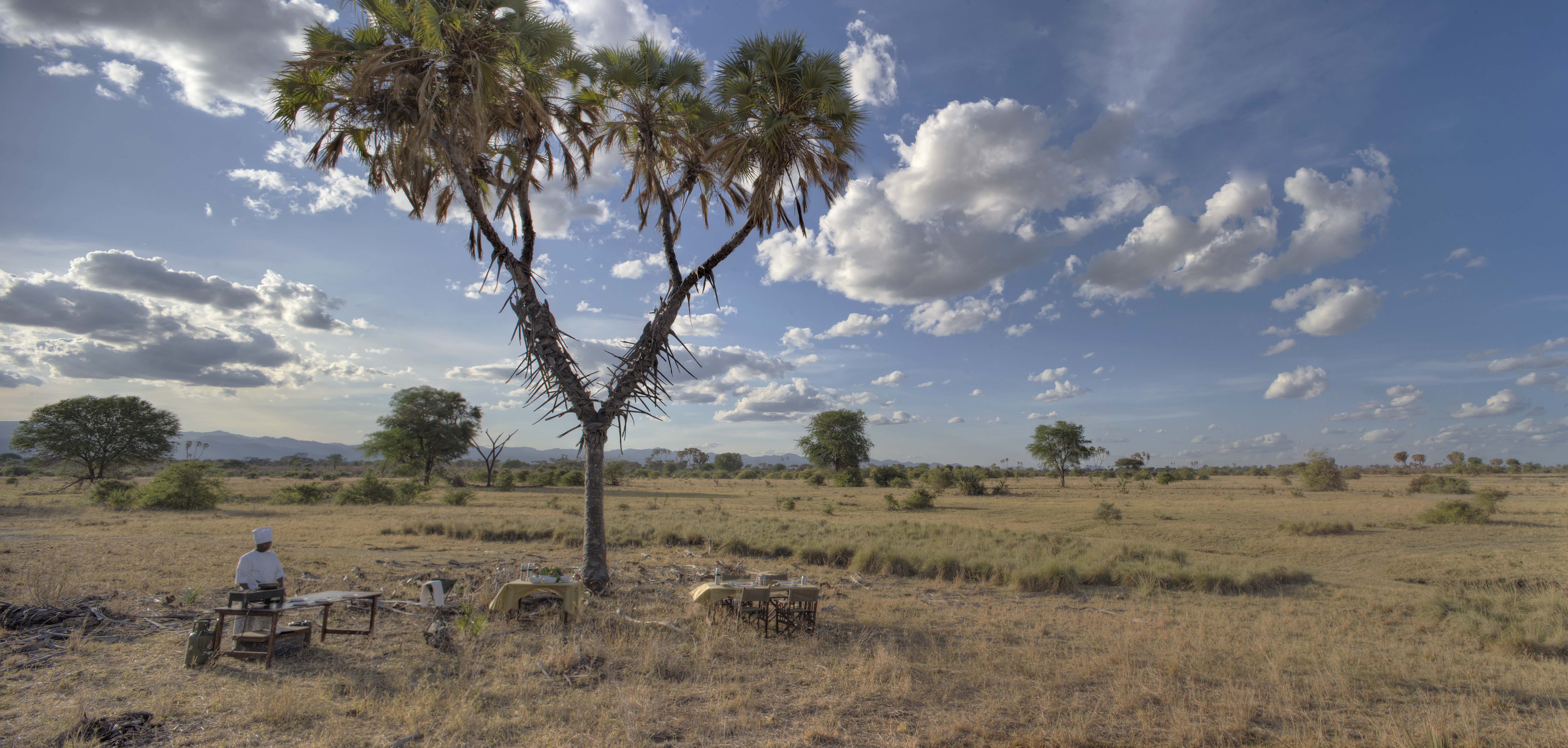 Meru National Park Area Image