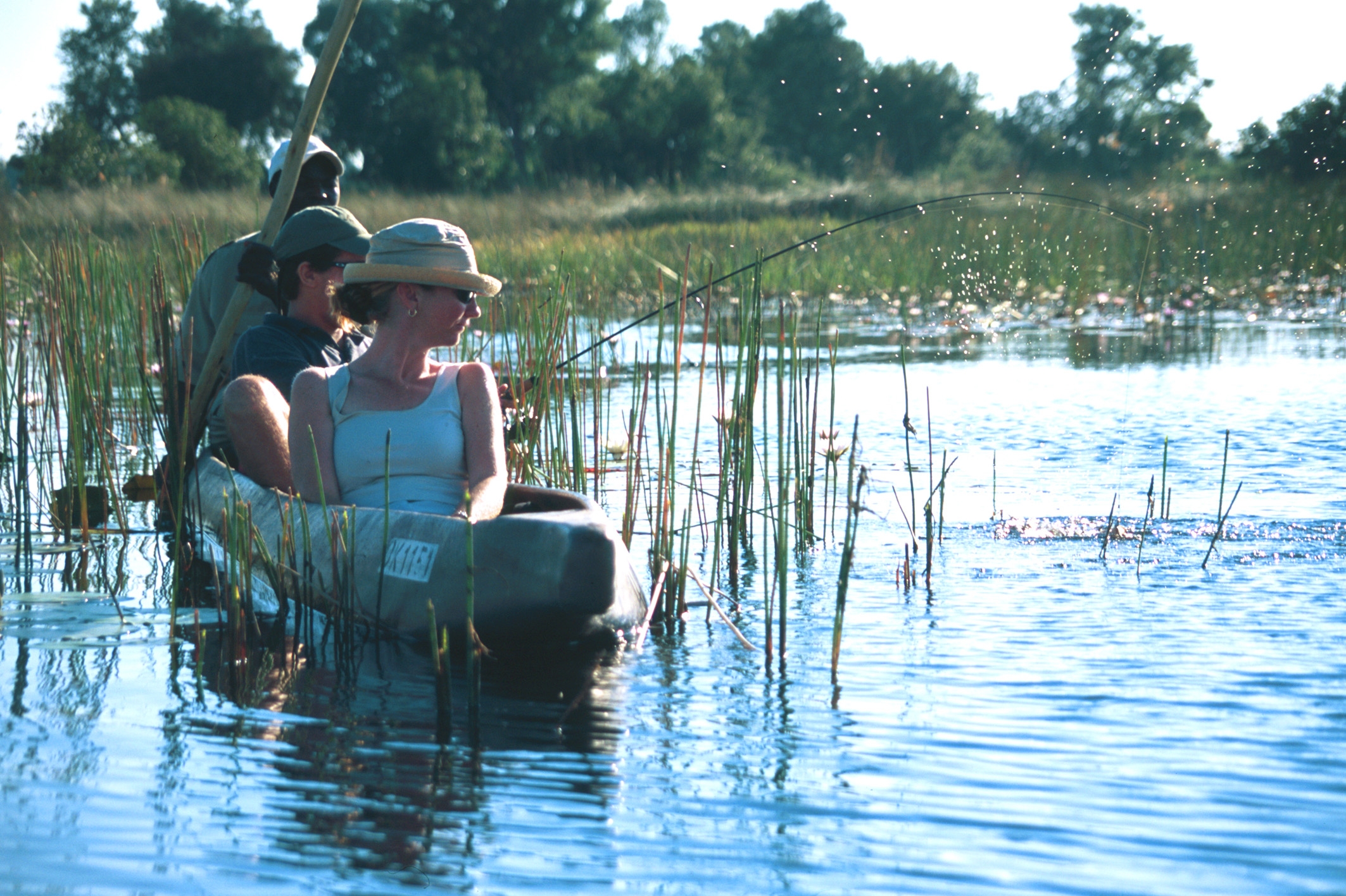 okavango delta canoe safari