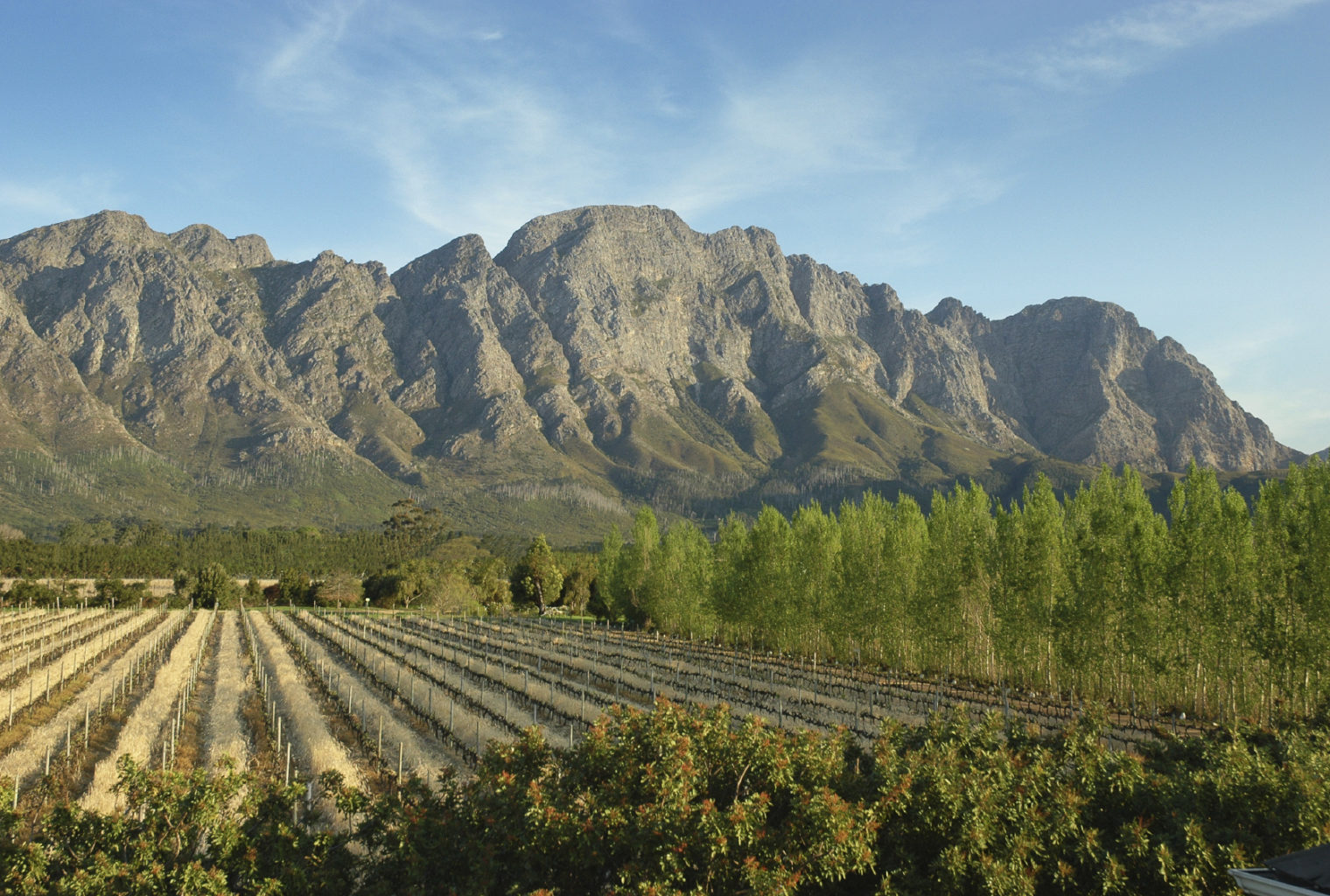 Mediterranean climate Cape town