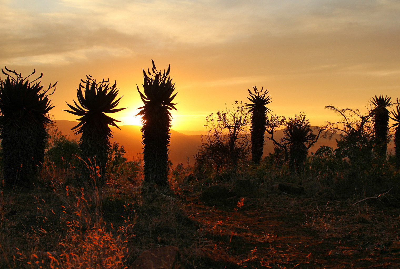 Fugitives-Drift-Lodge-South-Africa-Sunset