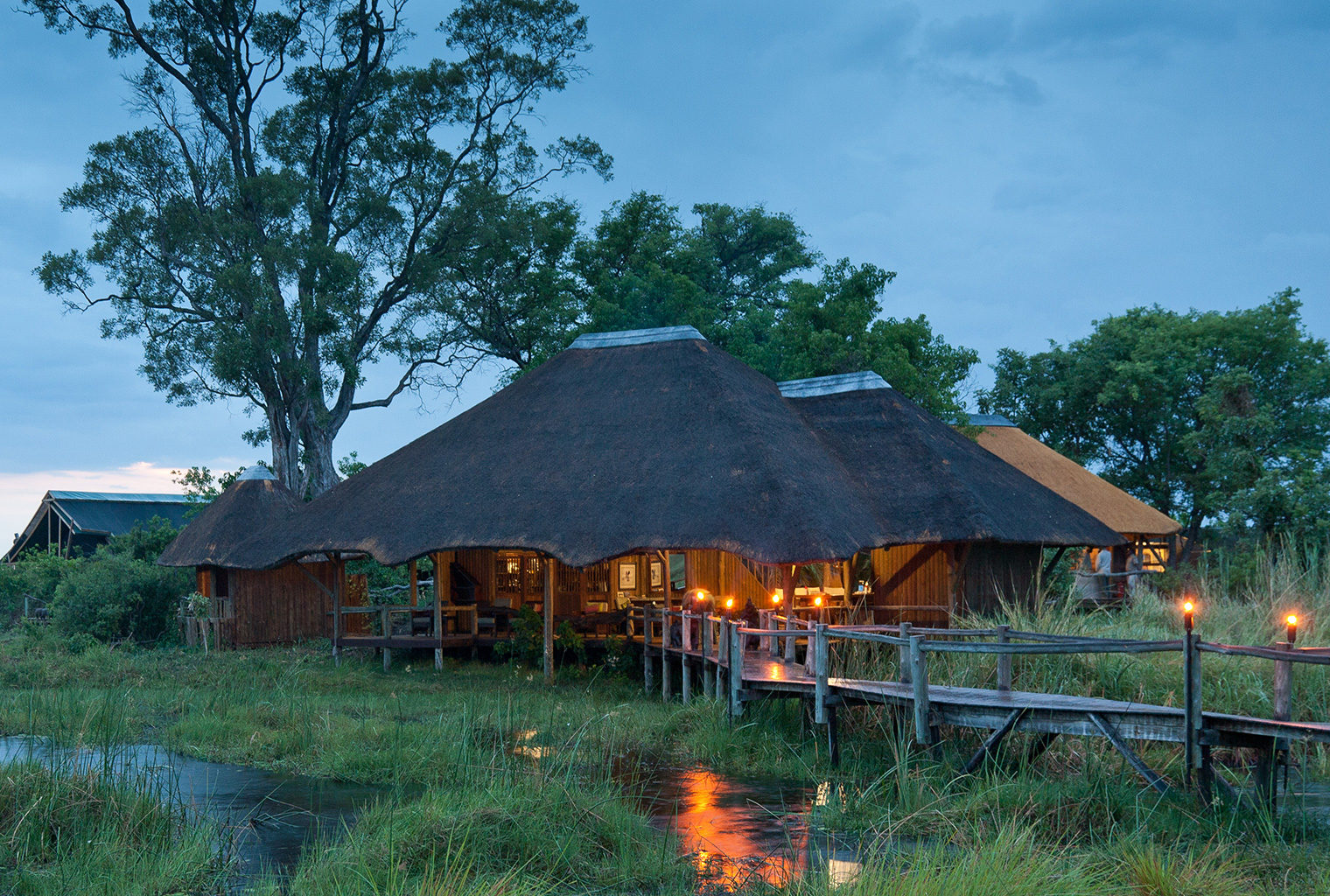 Bespoke Safaris in the Kwando Concessions, Botswana - Journeys by Design