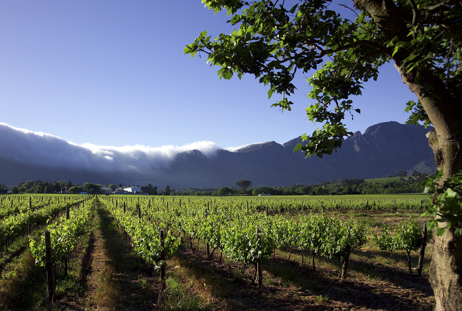 Le-Quartier-Francais-South-Africa-Valley-Scenery