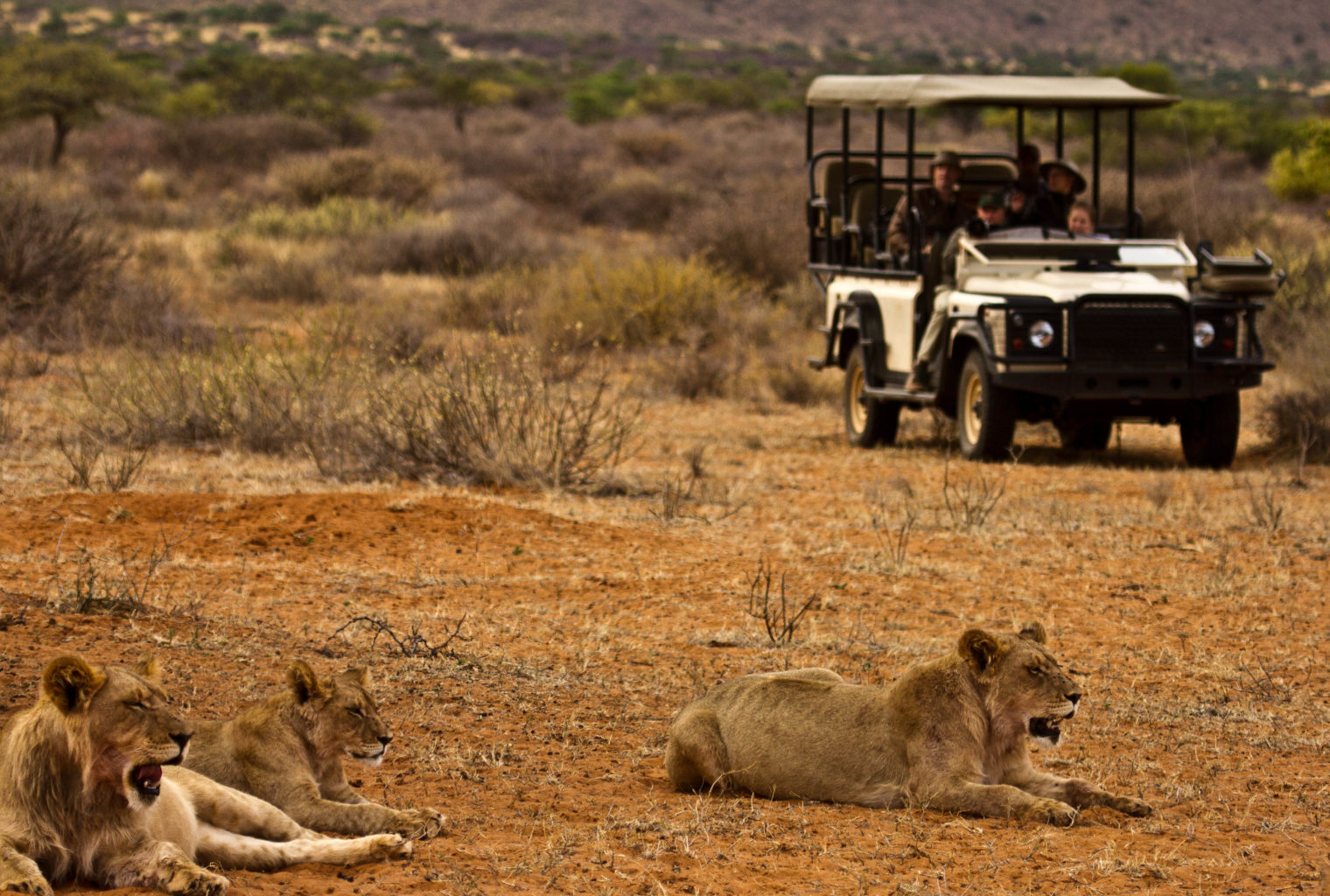 Tswalu Kalahari Safari - Journeys by Design