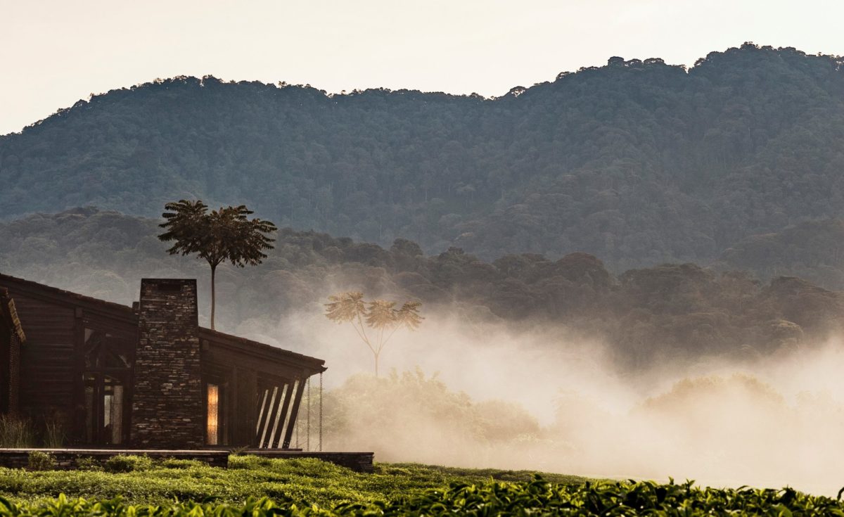 One&Only Nyungwe House, Rwanda