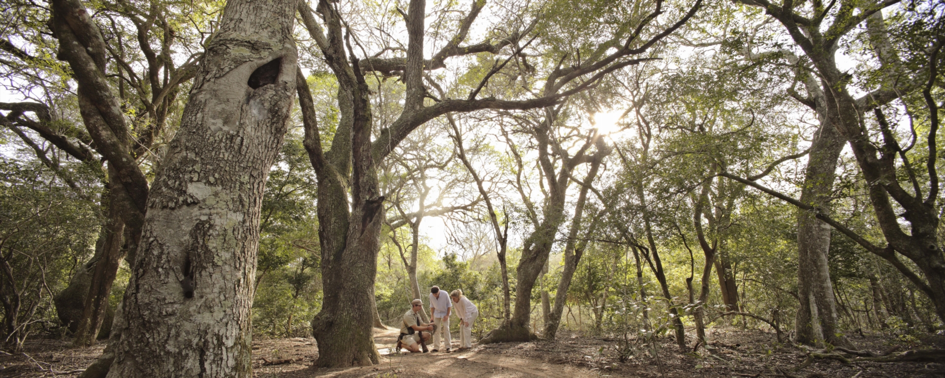 Phinda Forest Lodge South Africa Walking