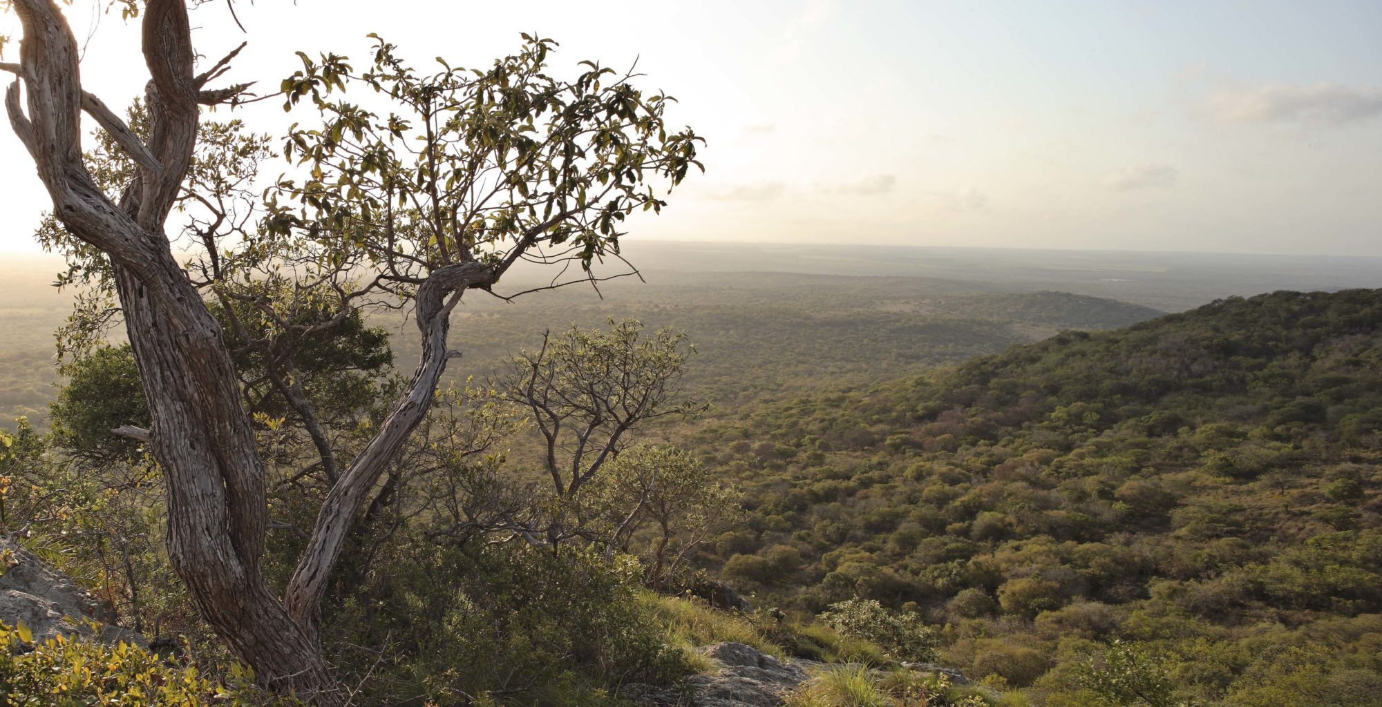 South-Africa-KwaZulu-Natal-Landscape