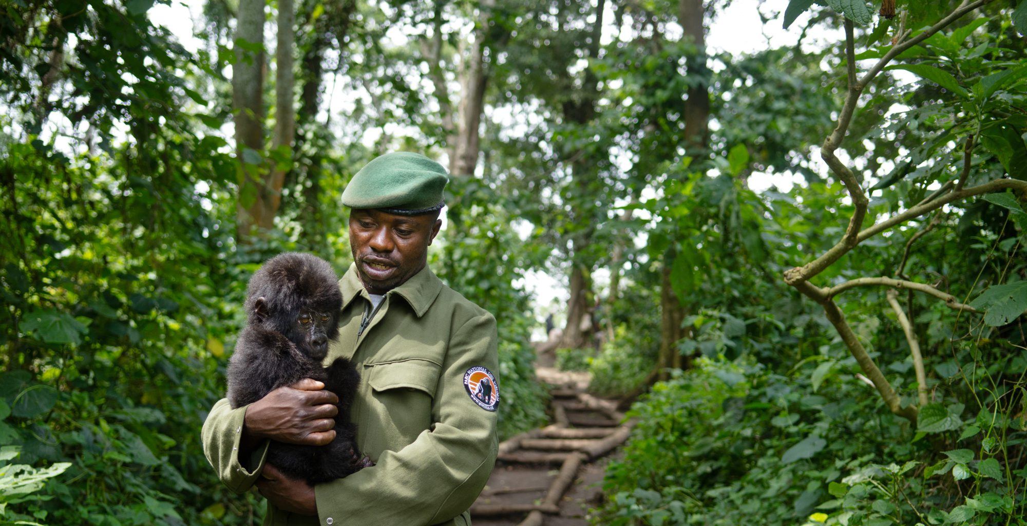 Democratic-Republic-of-Congo-Virunga-Ranger-Gorilla