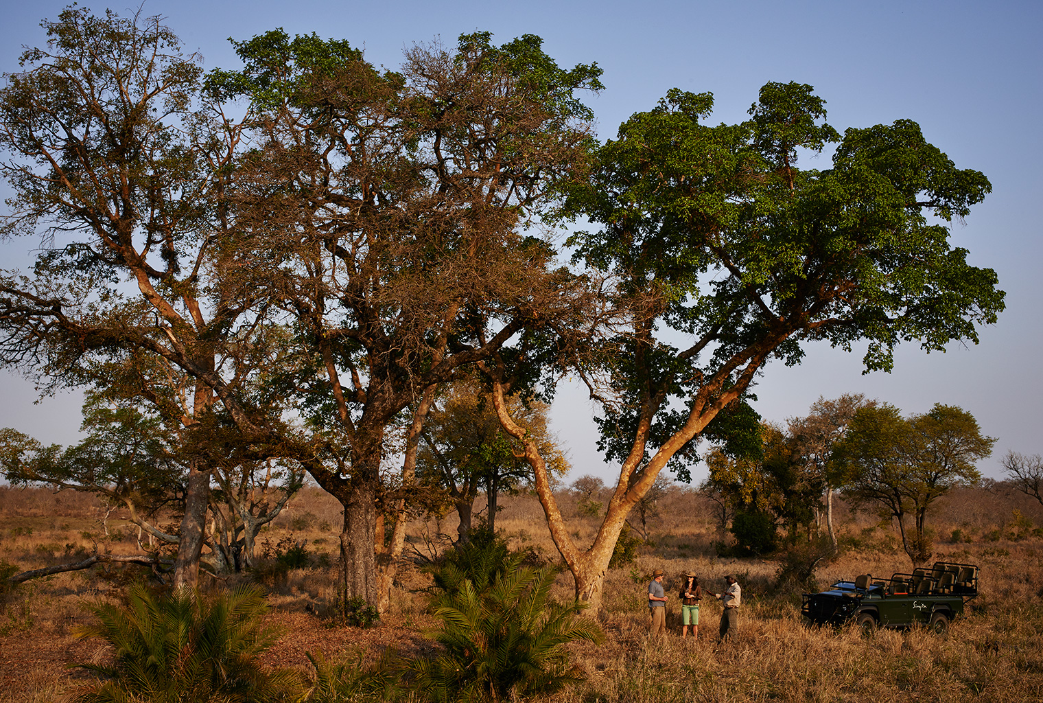 Singita-Castleton-South-Africa-Activity