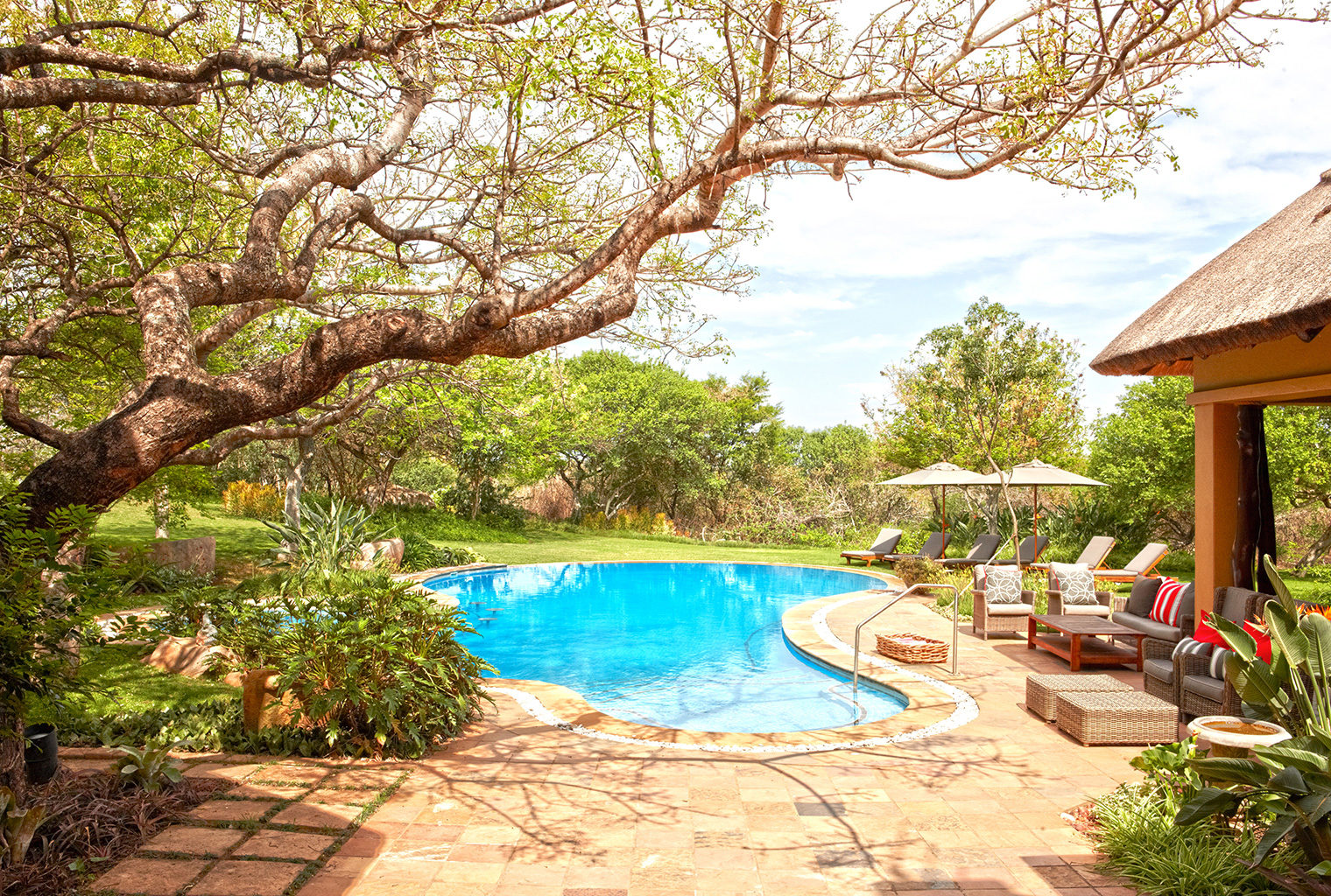 Thanda-Villa-Izulu-South-Africa-Pool
