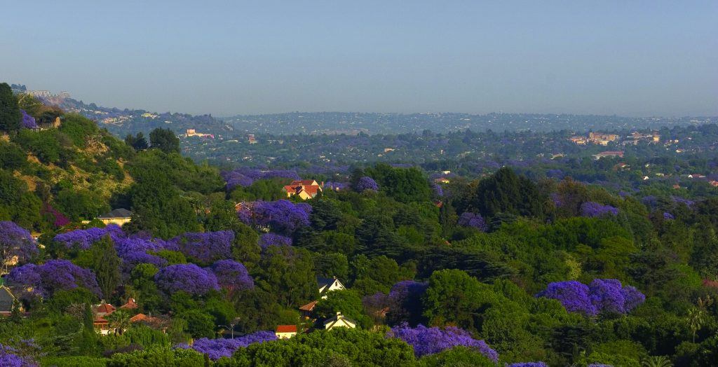 South-Africa-Johannesburg-Pretoria-Landscape-Hero