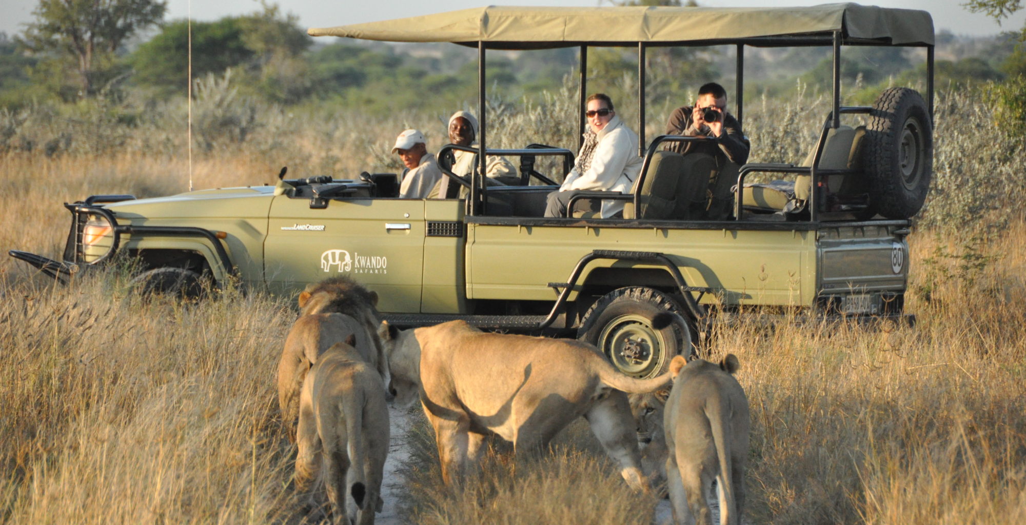 Tau Pan Botswana Main Area