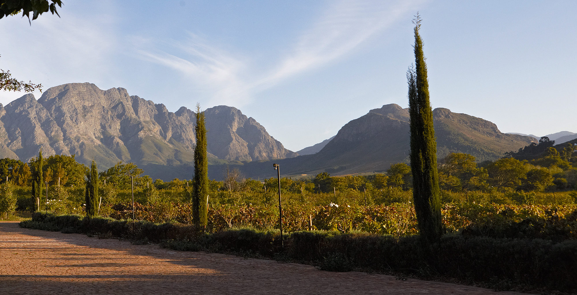 South-Africa-Winelands-Mountain
