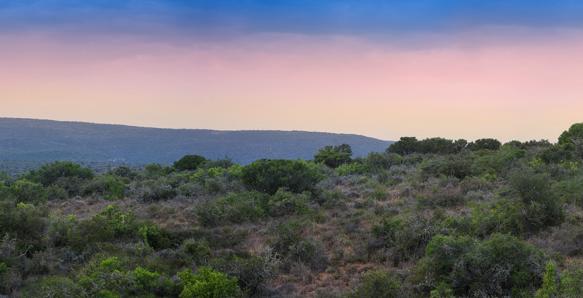 South-Africa-Kwandwe-Sunset