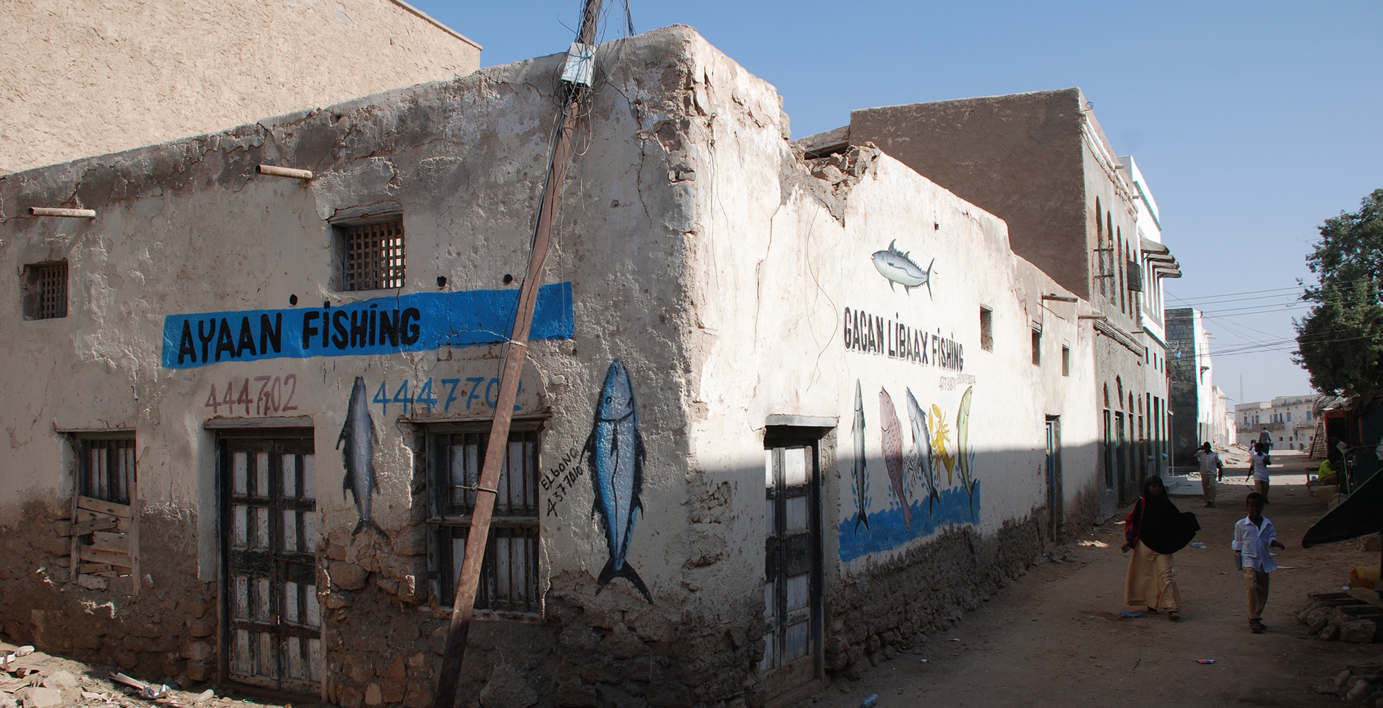 Somaliland-Wild-Expeditions-Berbera-Building