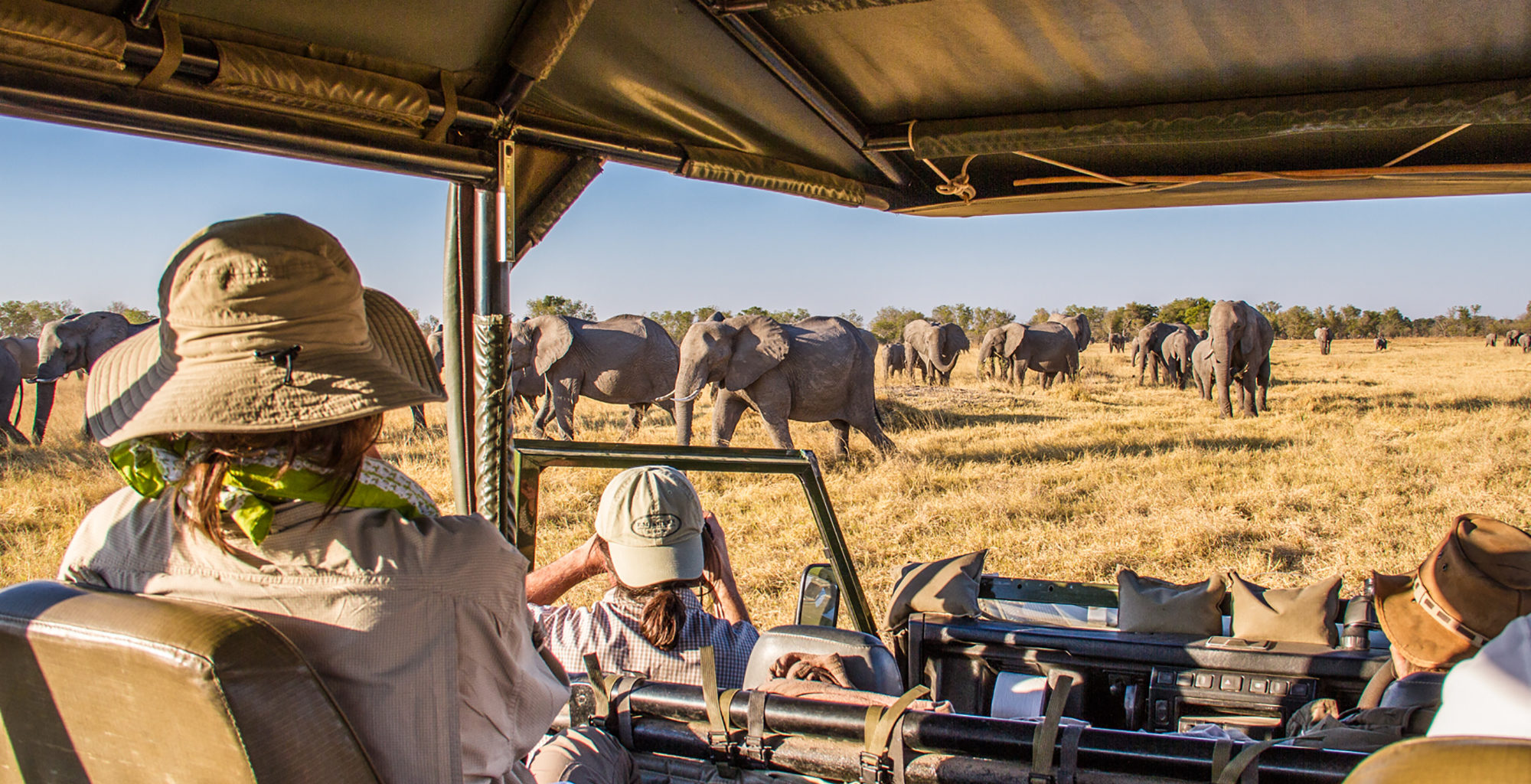 Roger Dugmore Mobile Safaris in the Okavanga Delta, Botswana