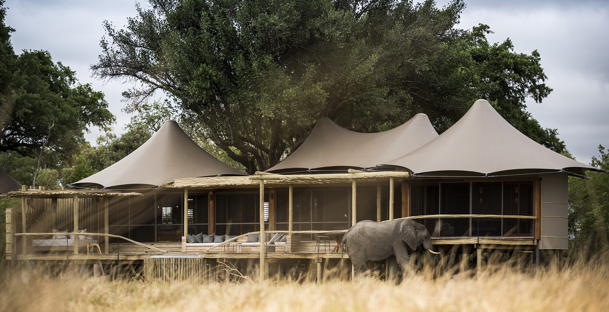 Botswana-Little-Mombo-Exterior
