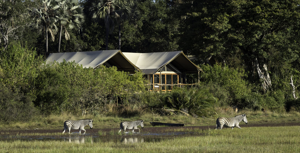 Botswana-Tubu-Tree-Camp-Exterior