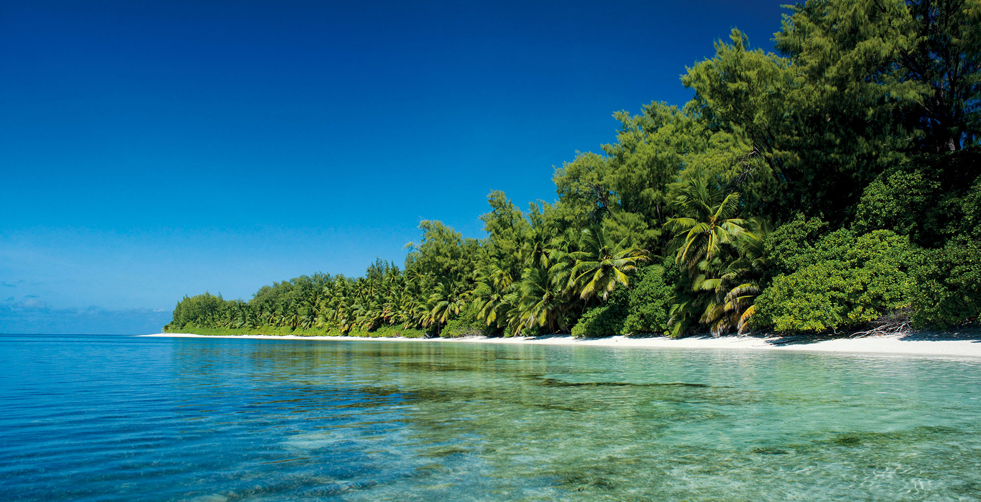 Seychelles-Private-Islands-Coast