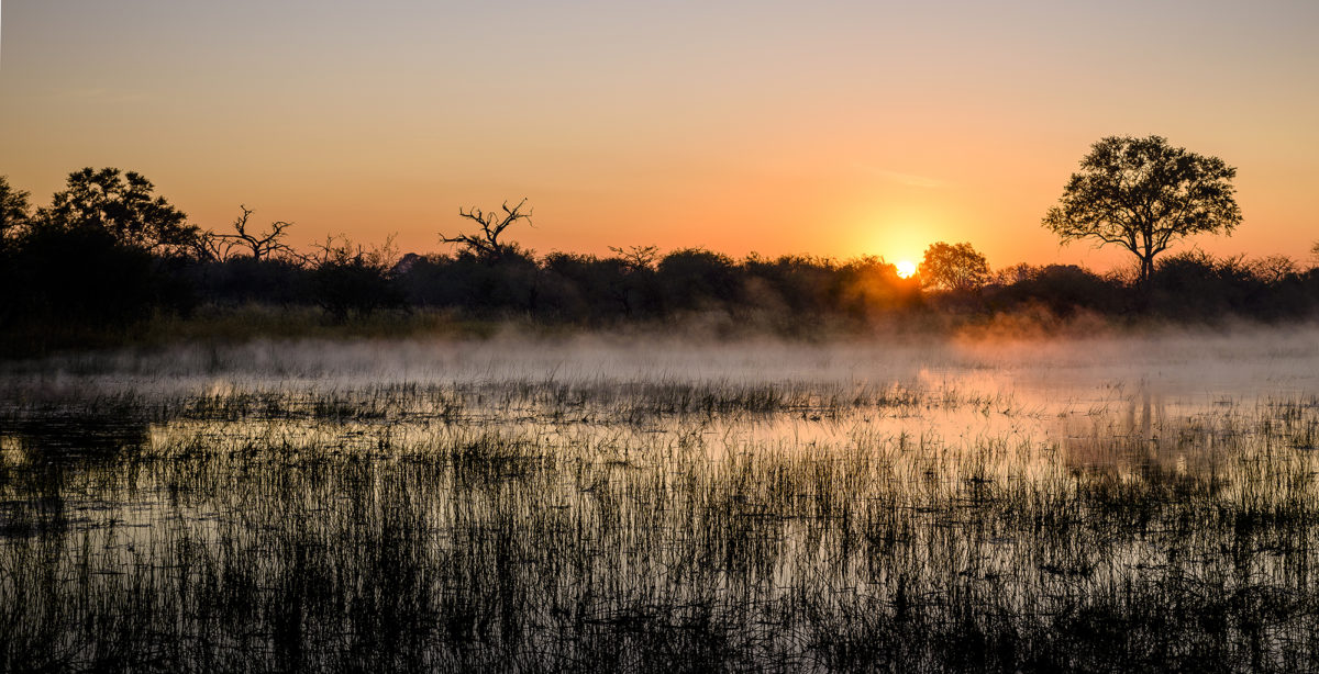 Chief's Camp in Moremi Game Reserve, Botswana