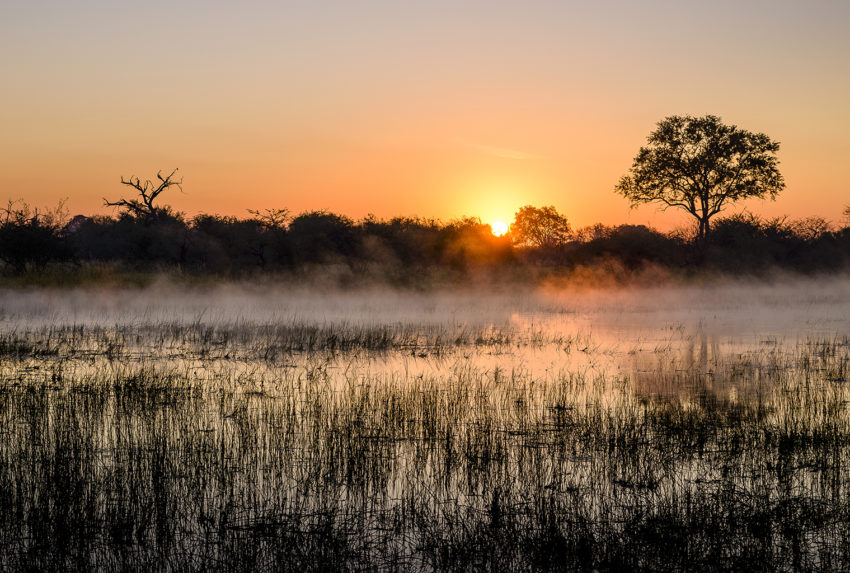 Botswana-Chiefs-Camp-Sunset