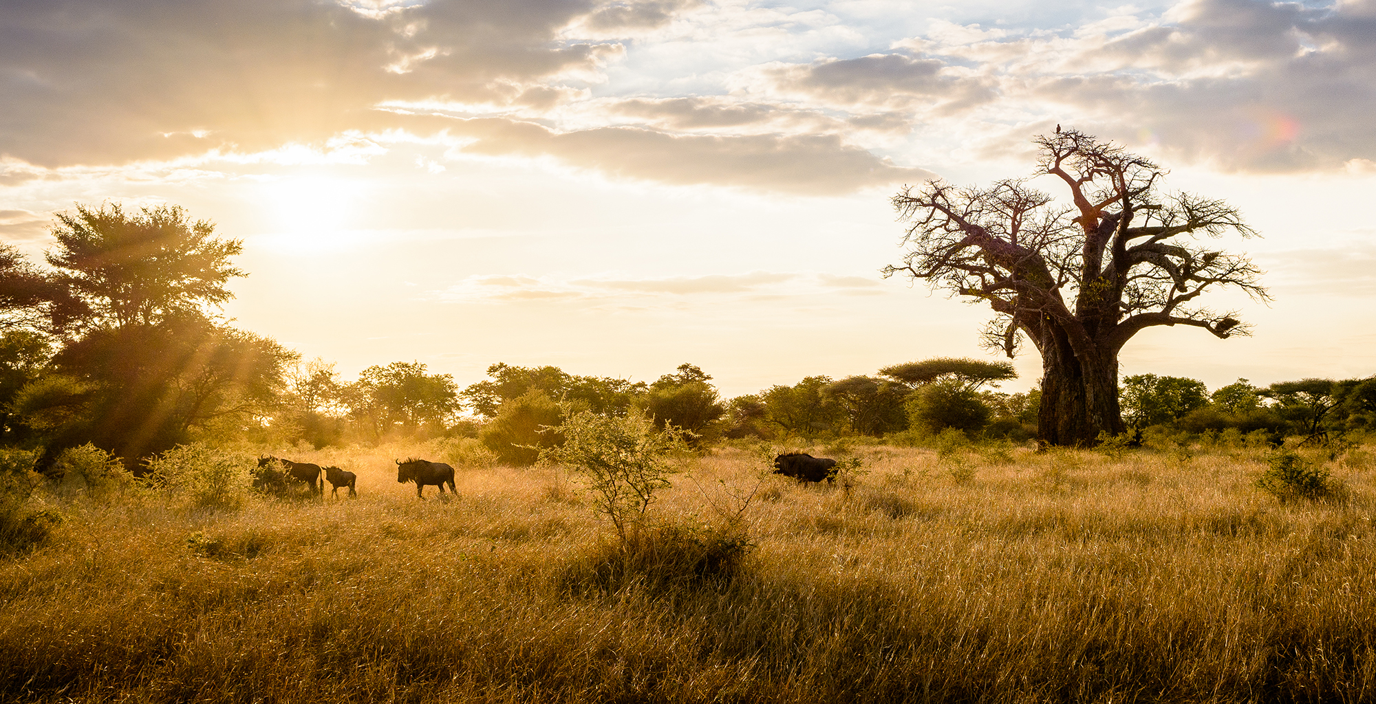 Zimbabwe-Singita-Pamushana-Landscape
