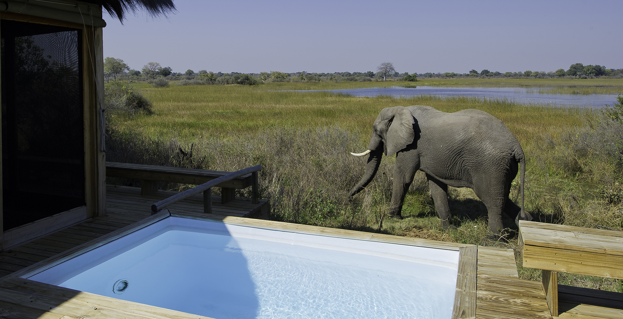 Botswana-Vumbura-Elephant-Pool